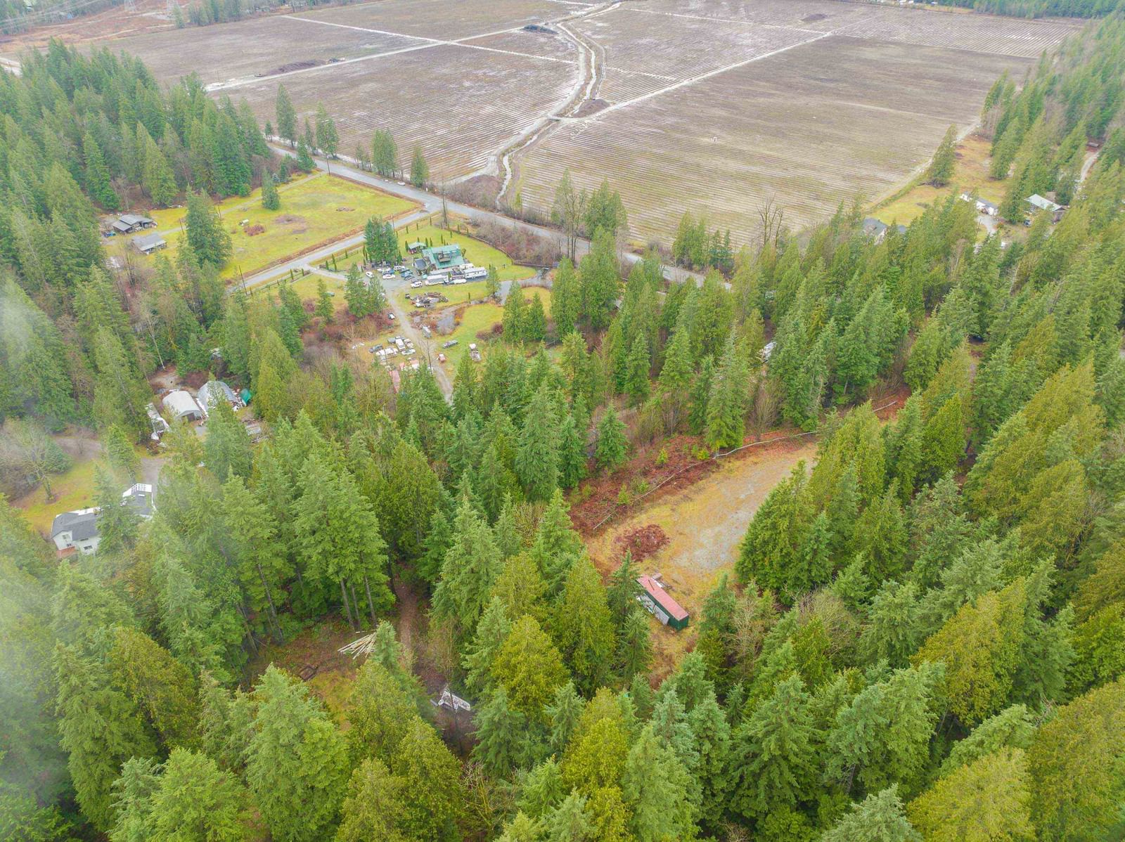 Listing Image 12