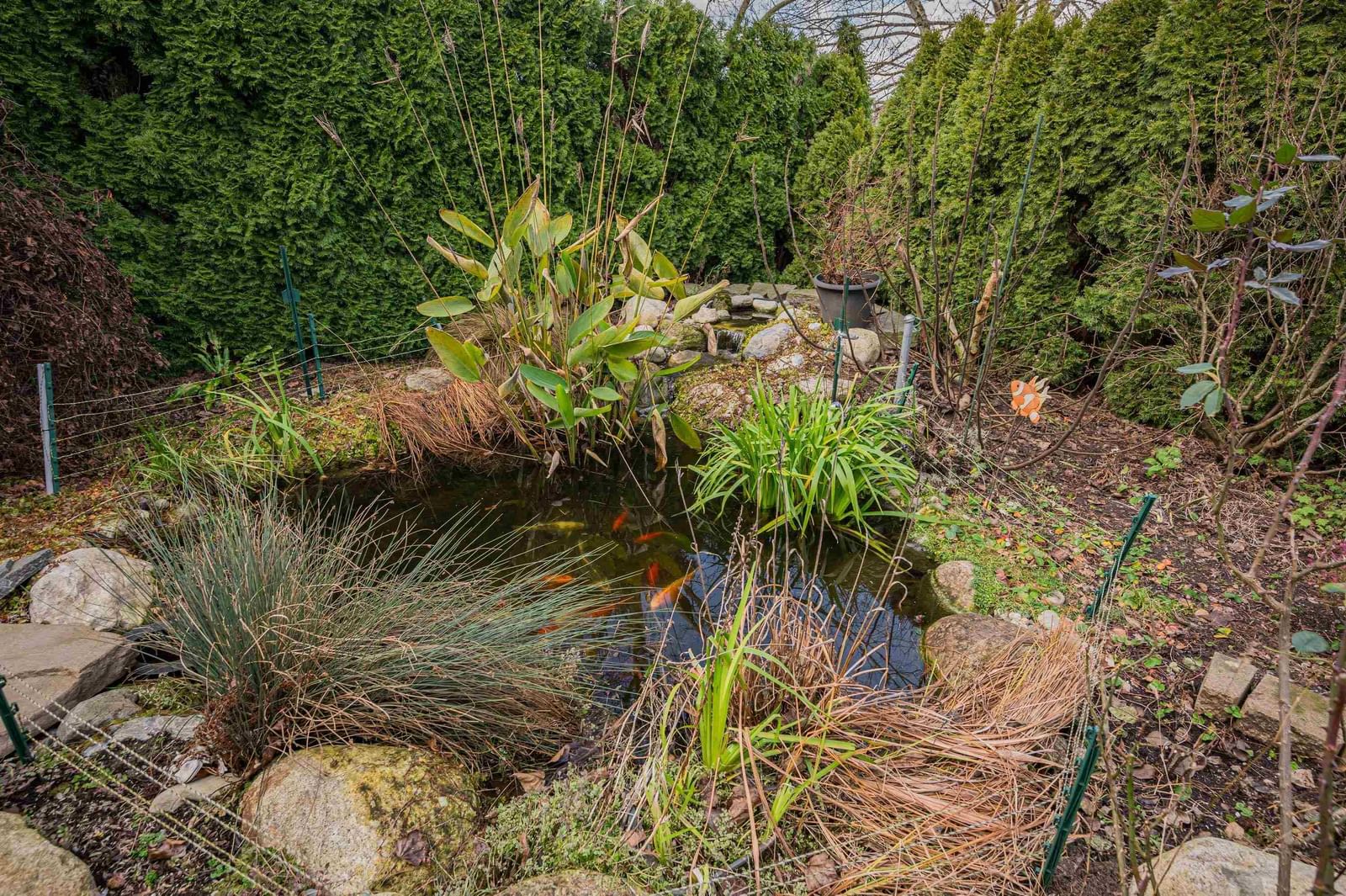 Listing Image 32