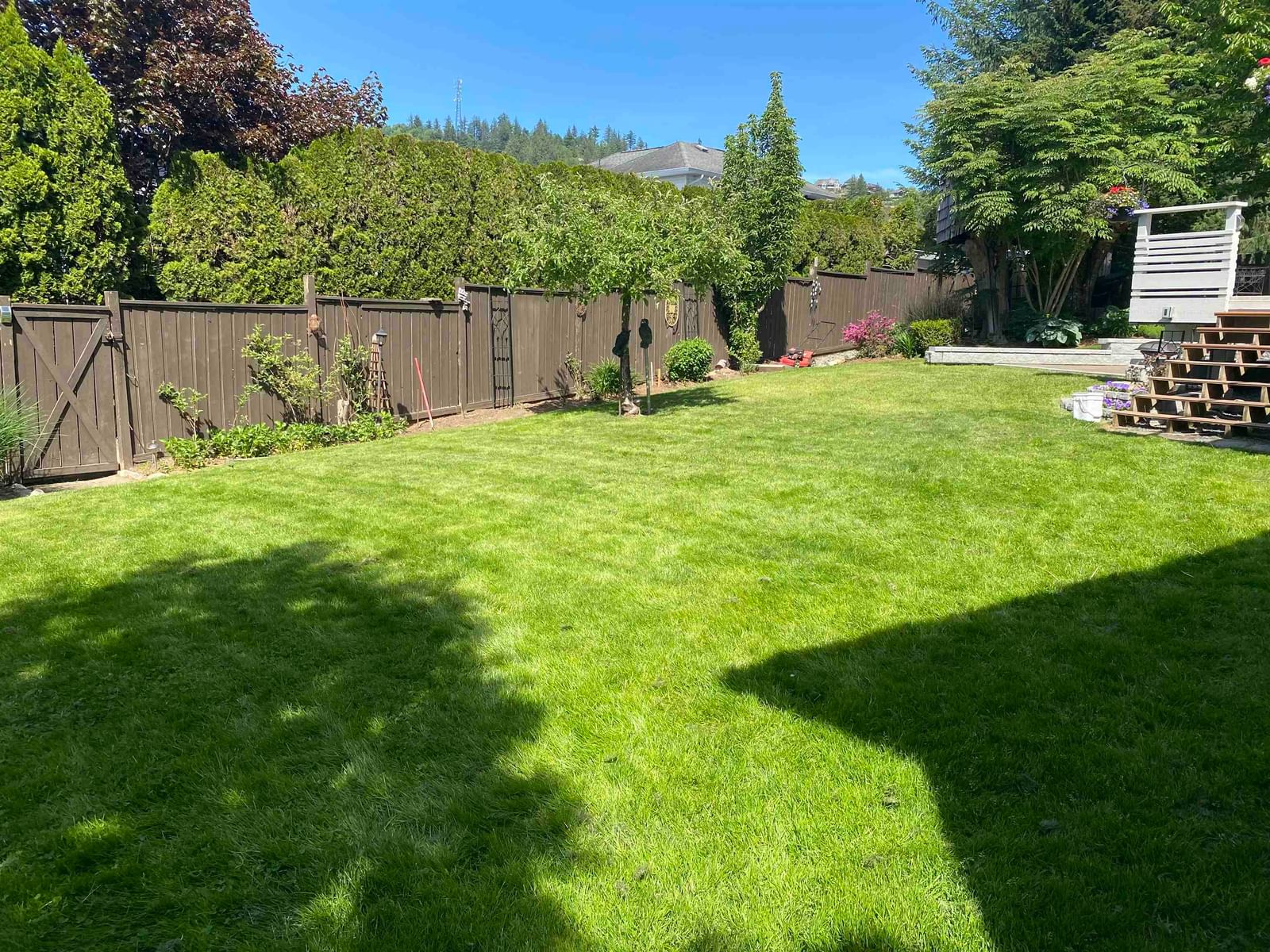 Listing Image 32