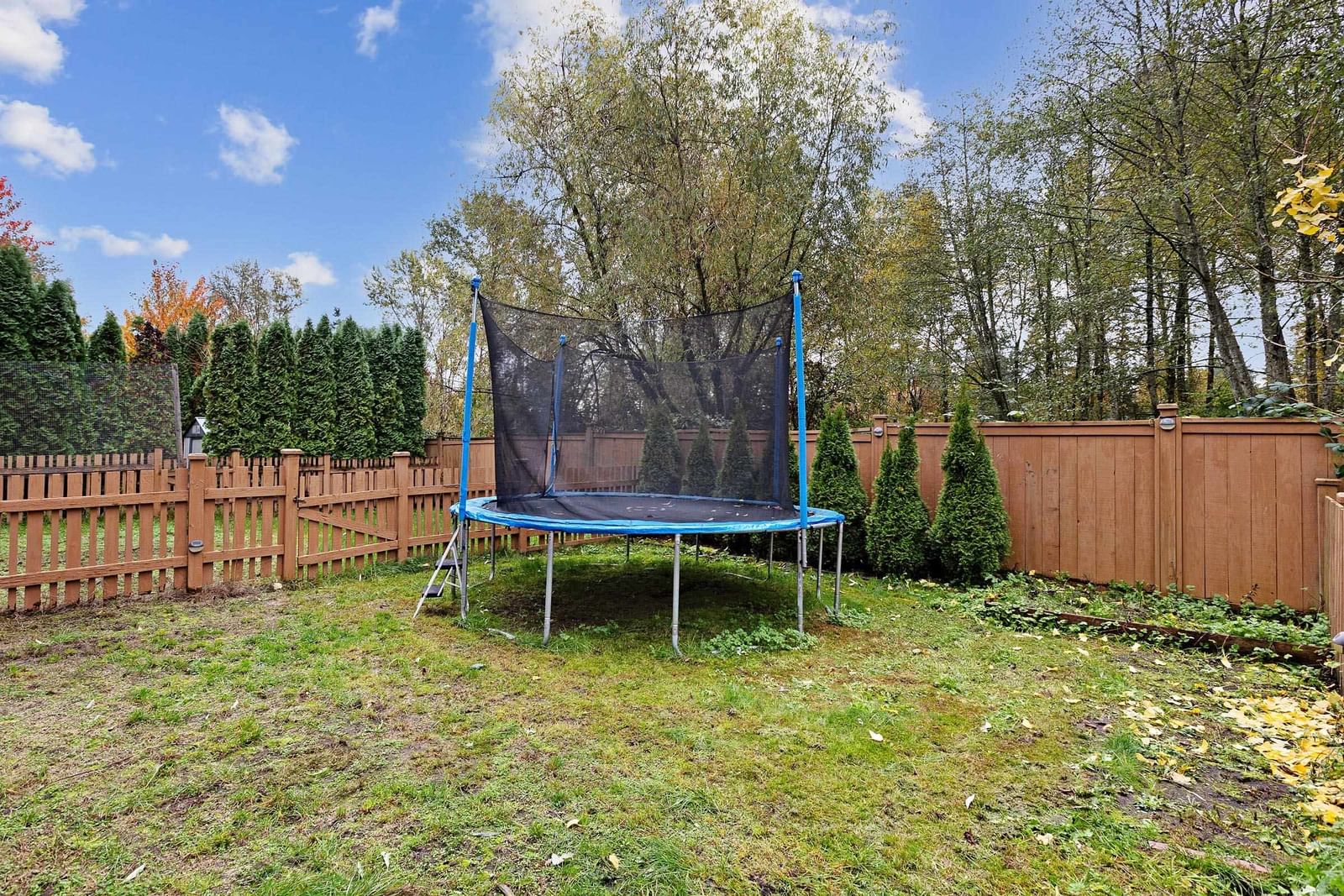 Listing Image 29