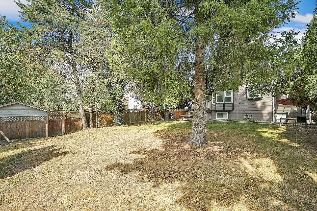 Listing Image 35