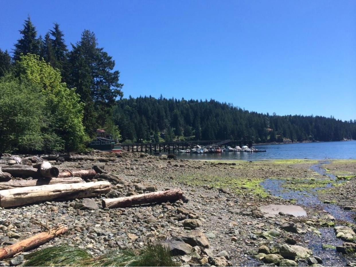 Listing Image 16