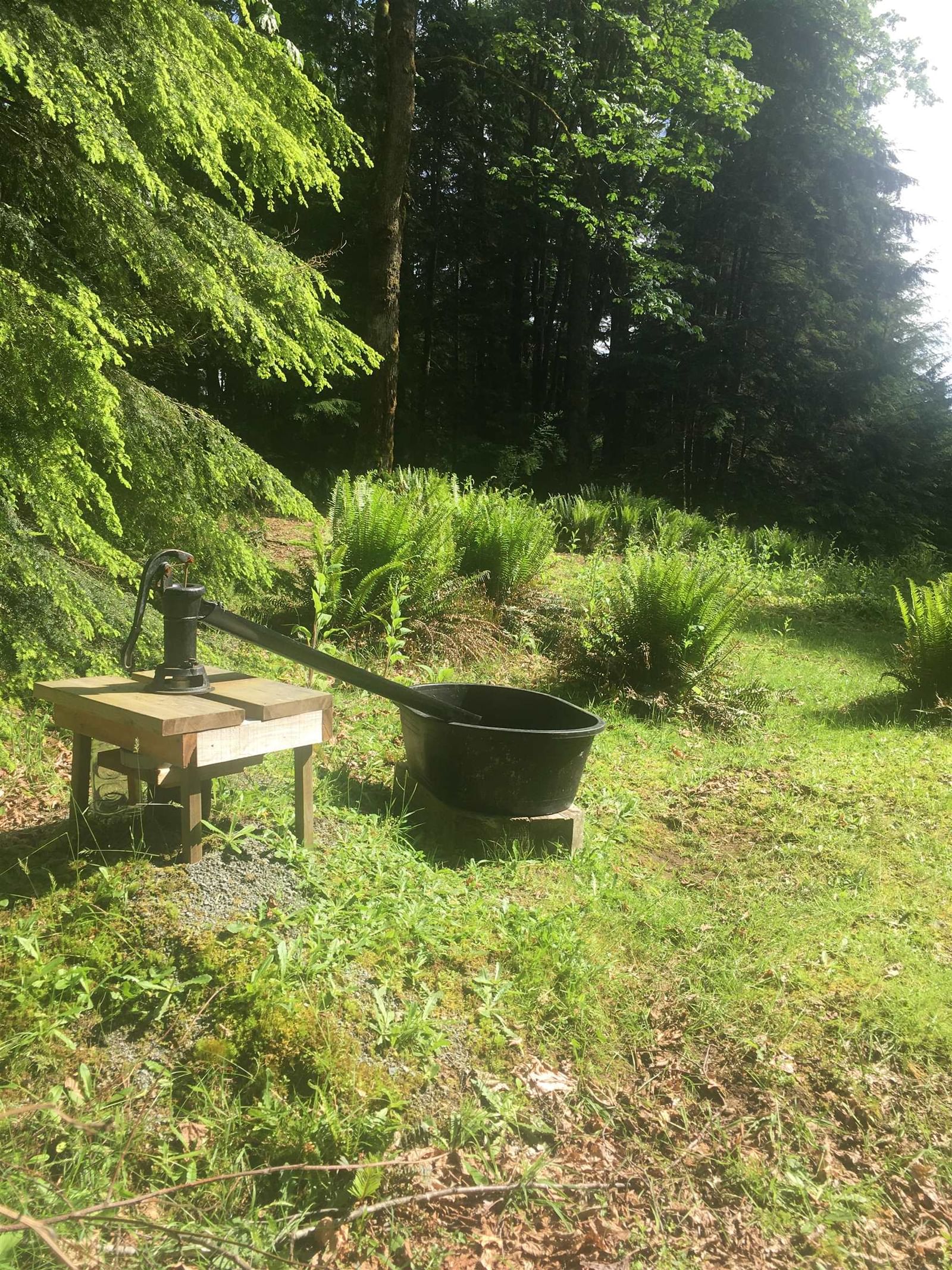 Listing Image 8
