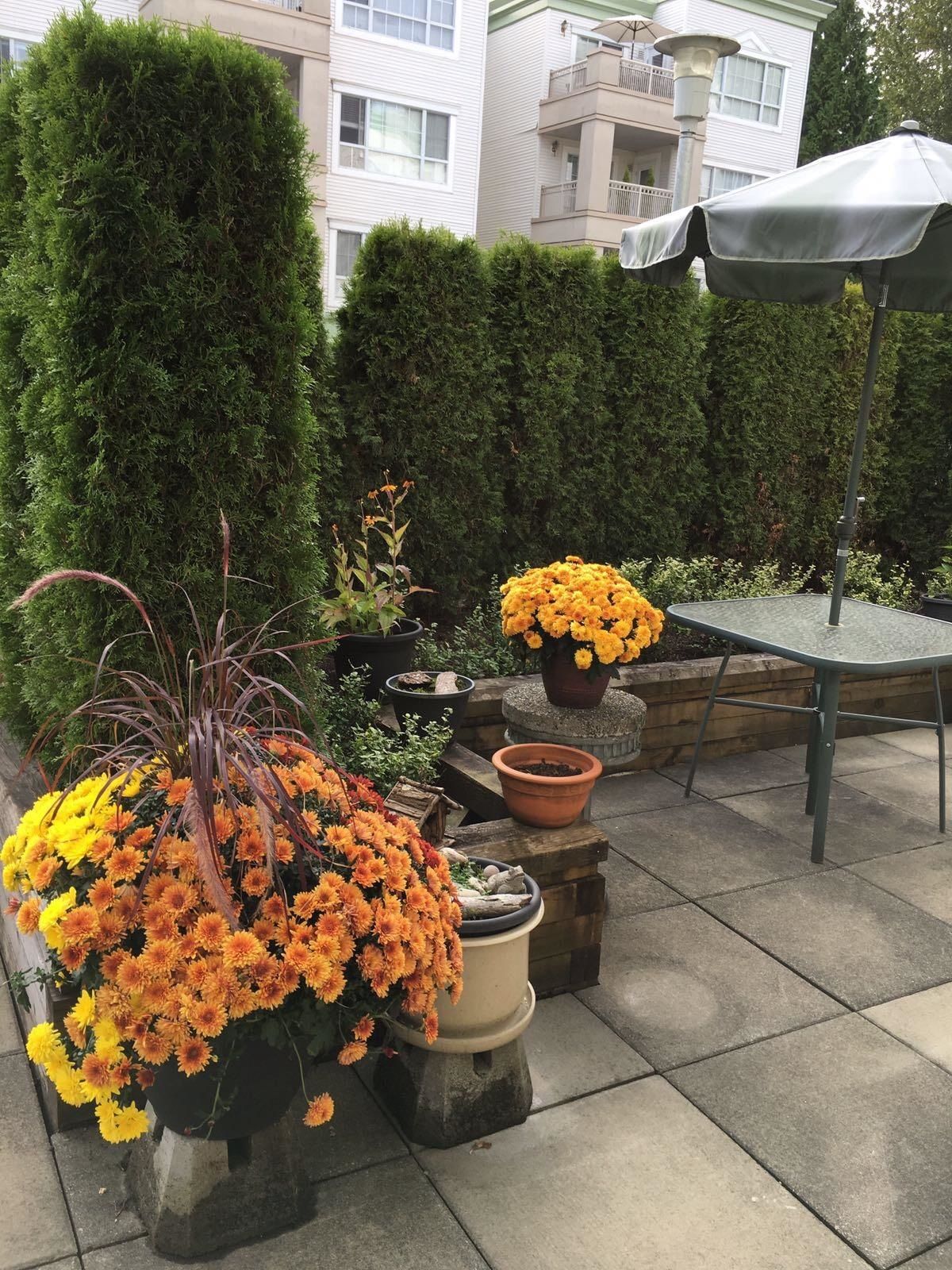 Listing Image 31