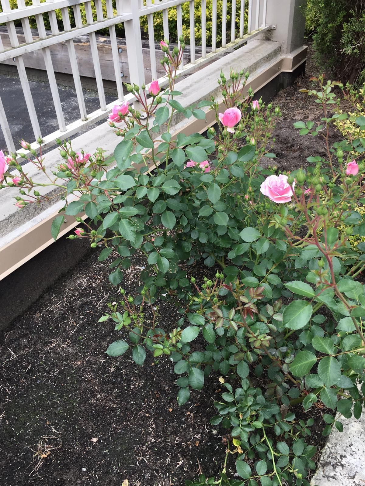 Listing Image 32