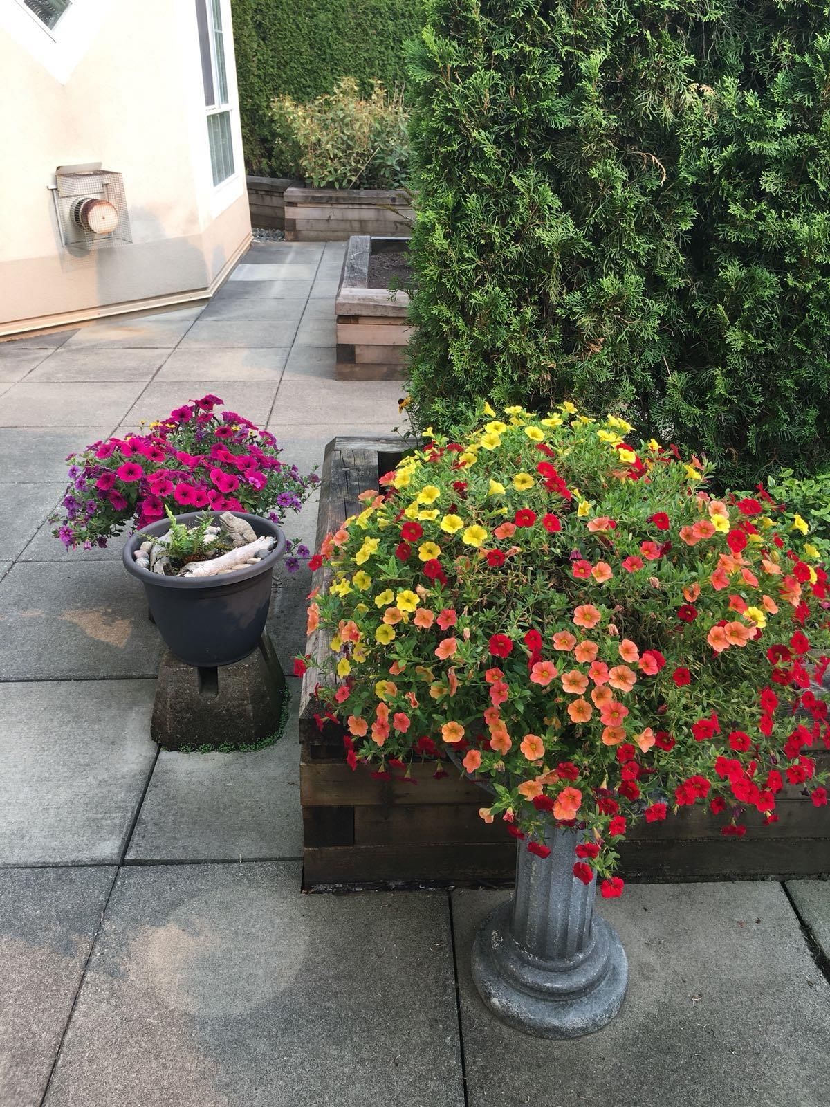 Listing Image 33