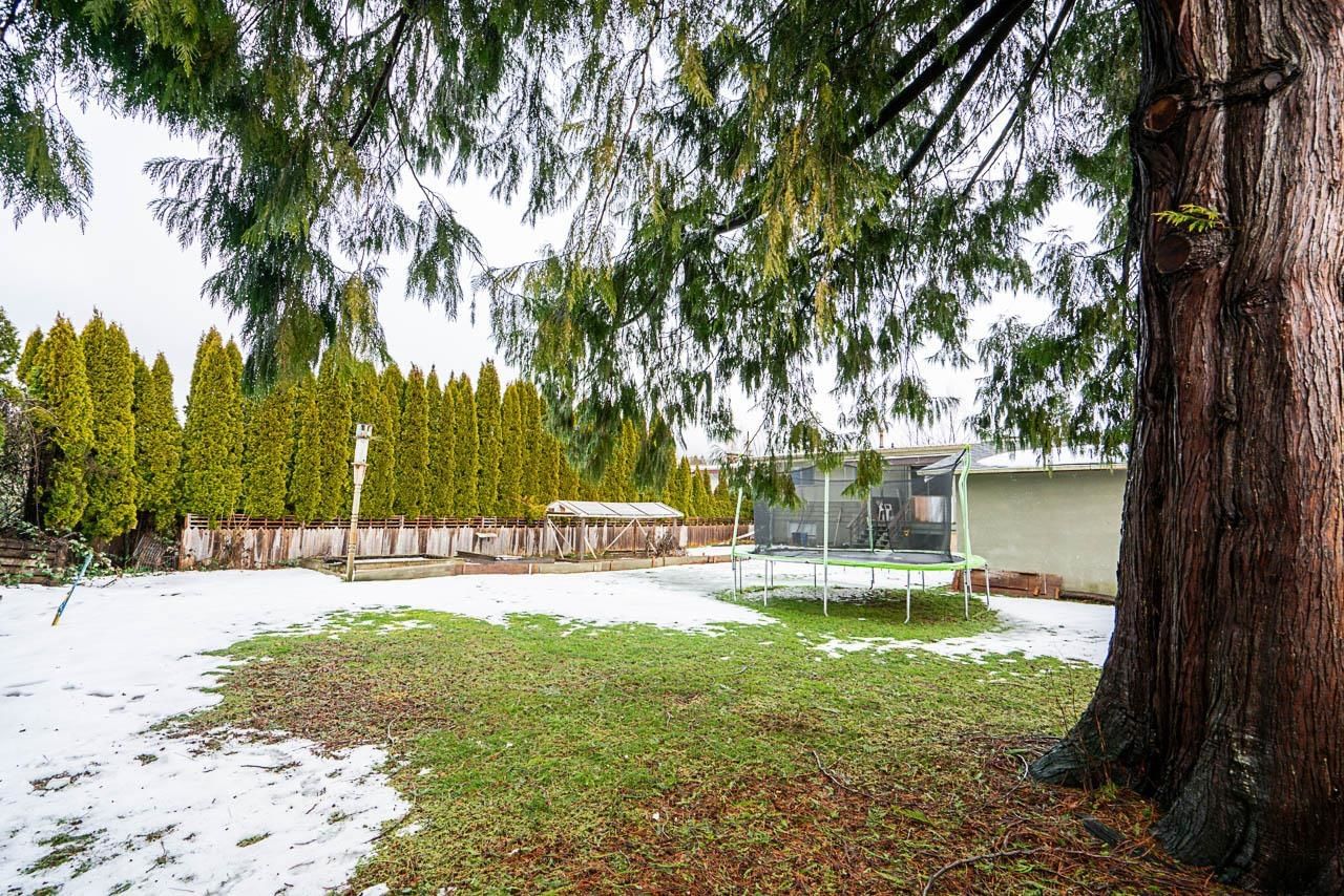Listing Image 33