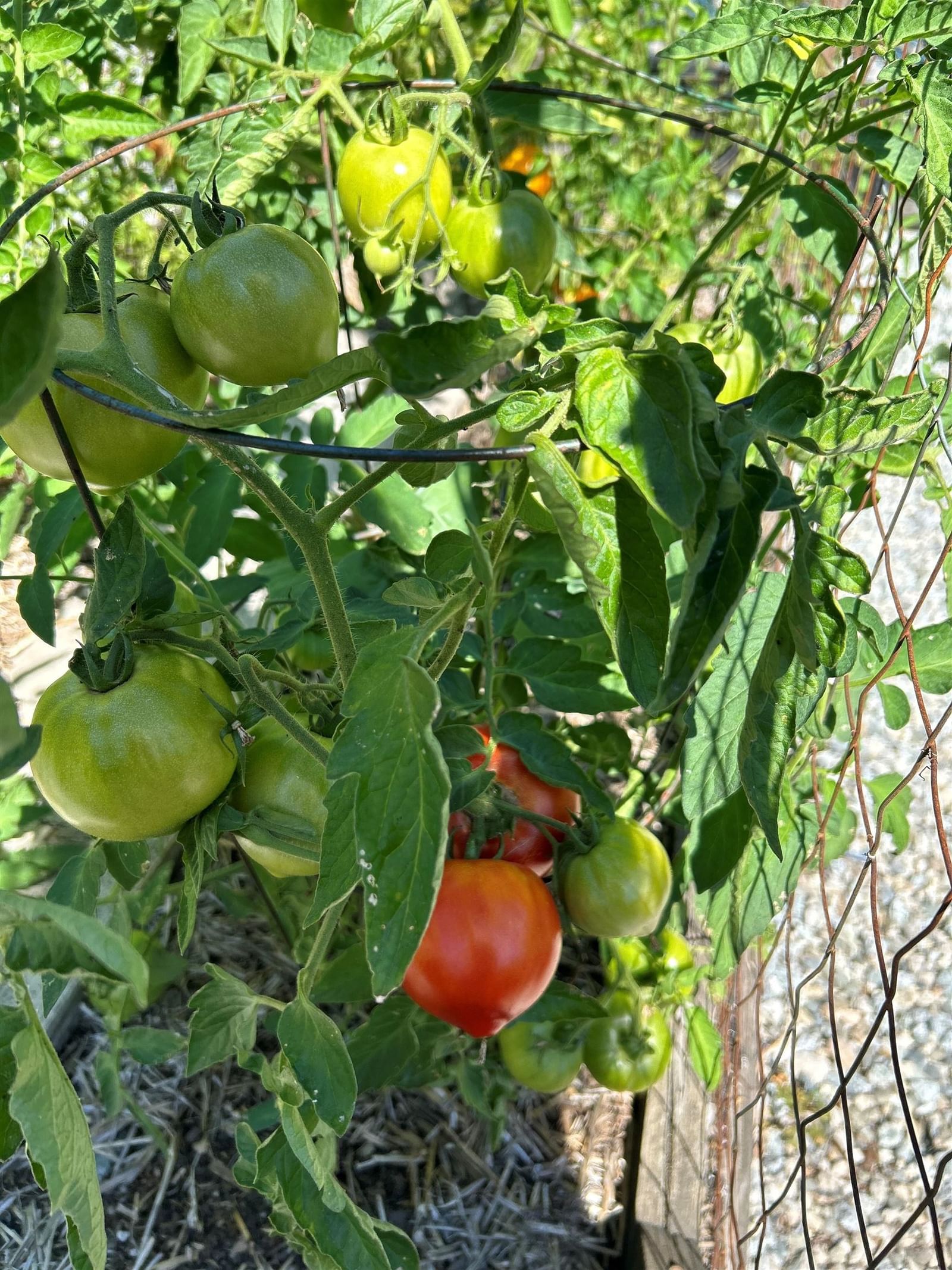 Listing Image 32