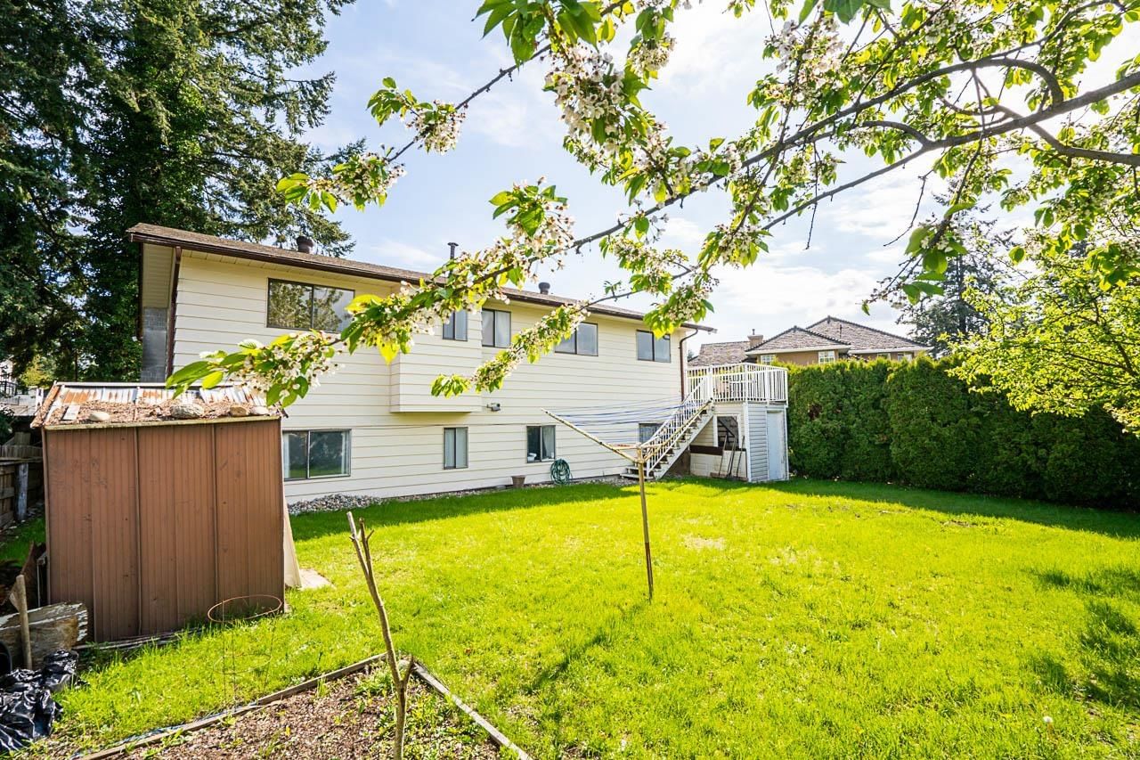 Listing Image 39