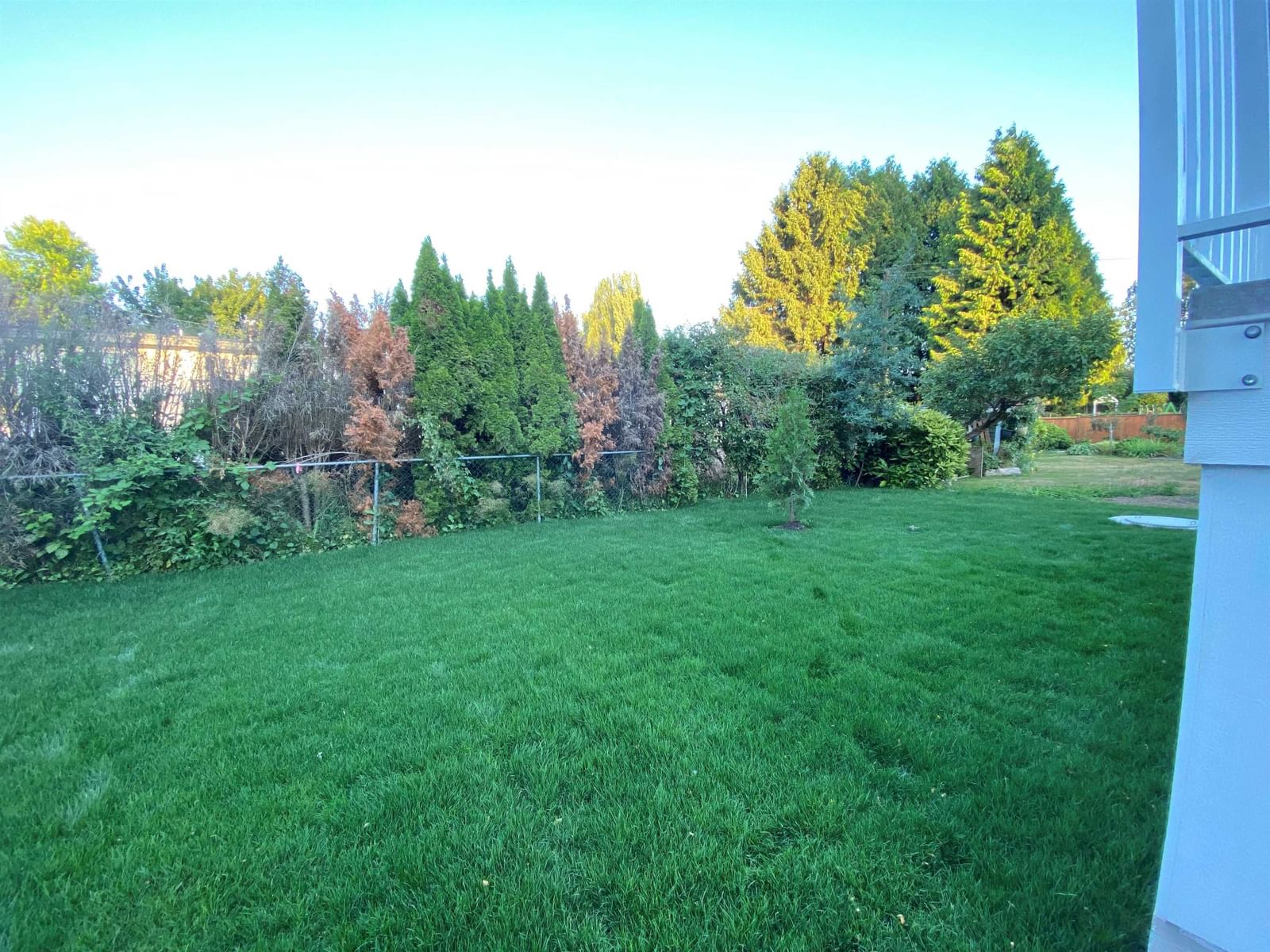 Listing Image 20