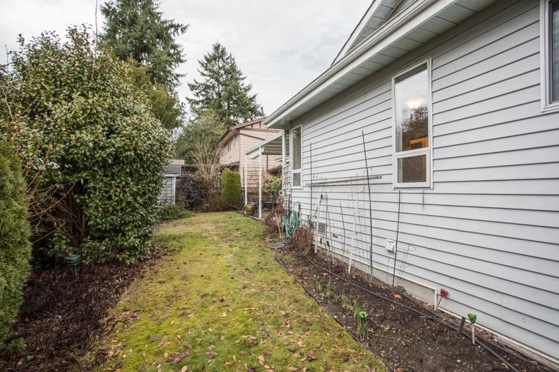 Listing Image 31