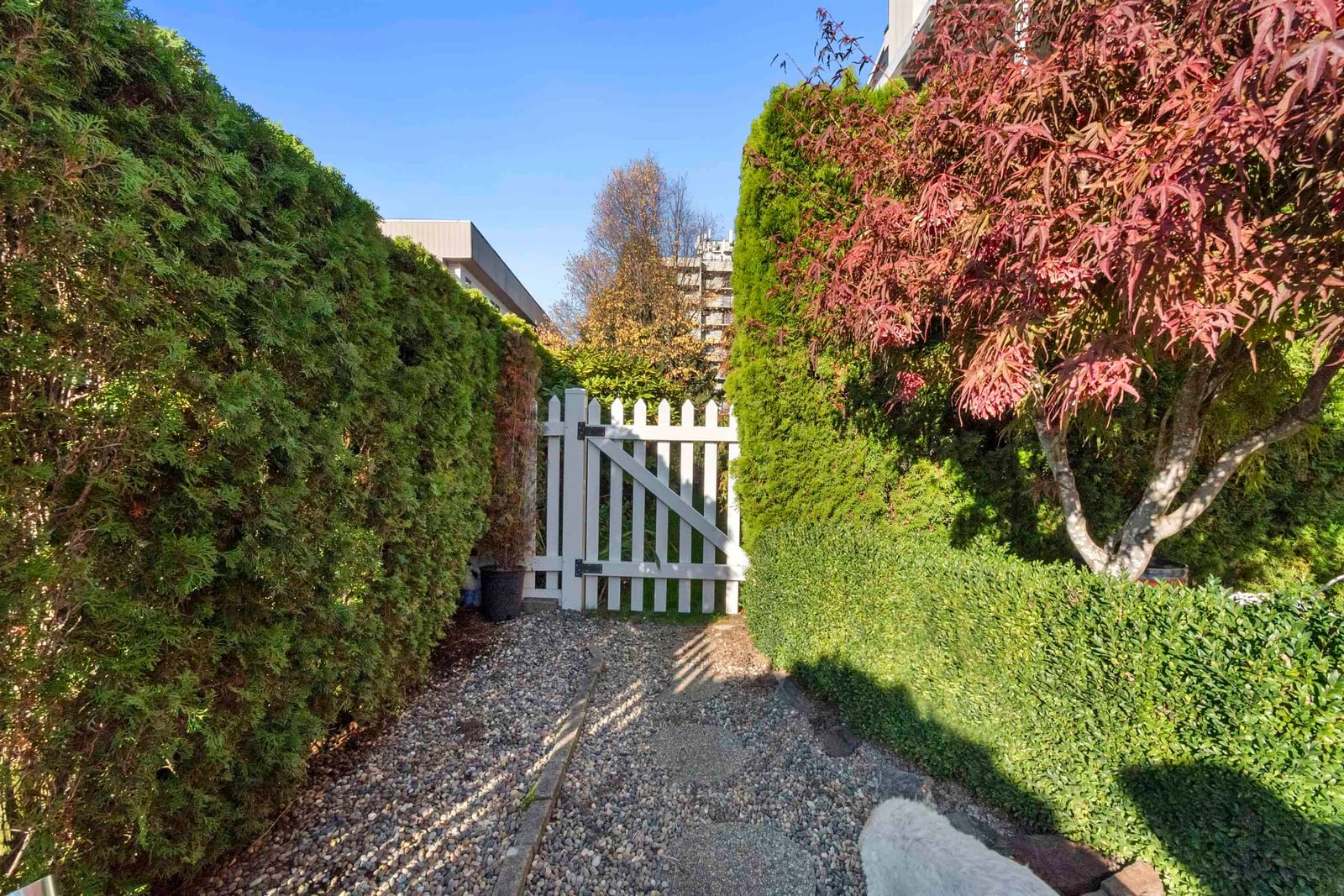Listing Image 39