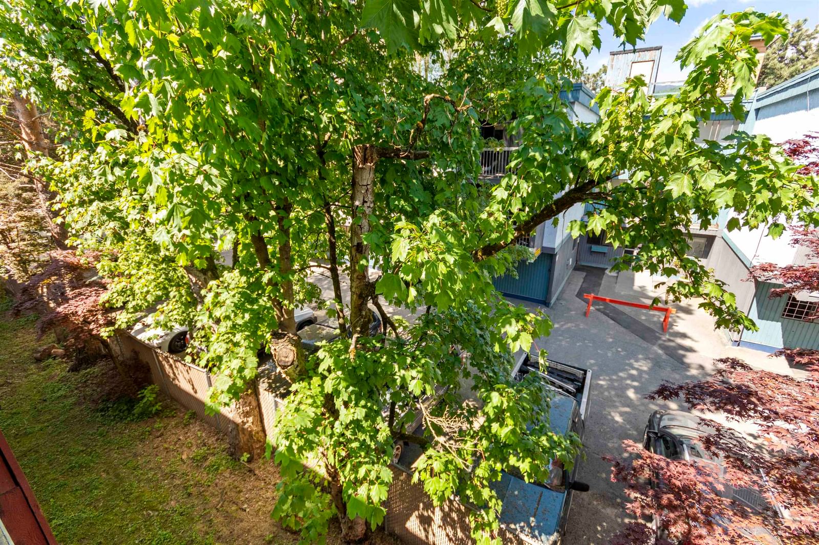 Listing Image 20