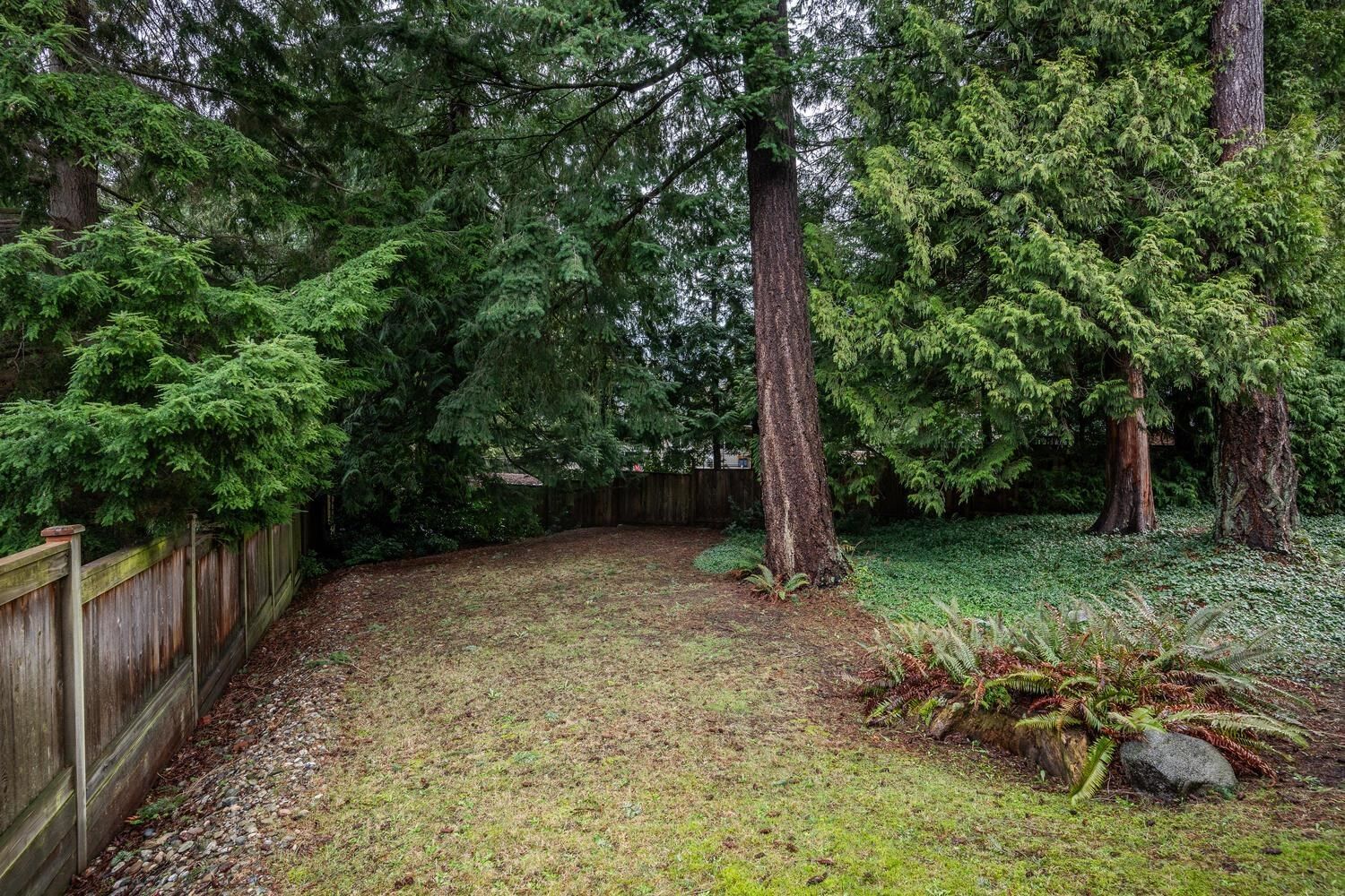 Listing Image 24