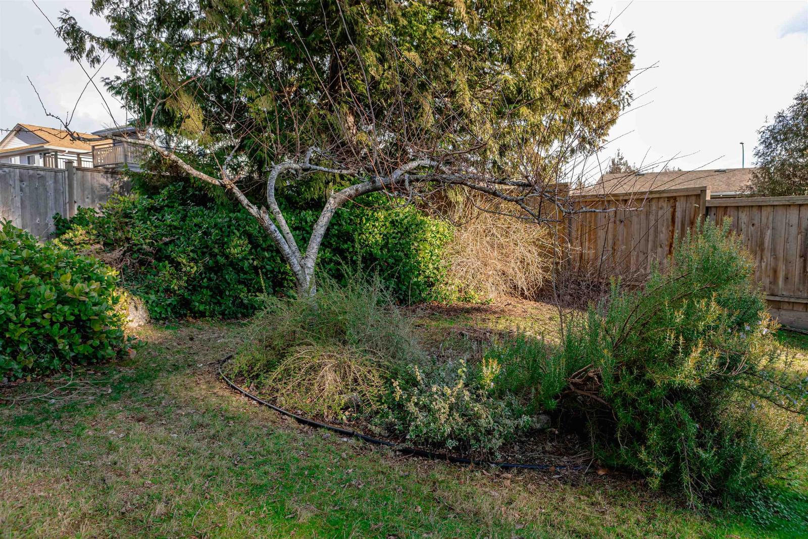 Listing Image 26