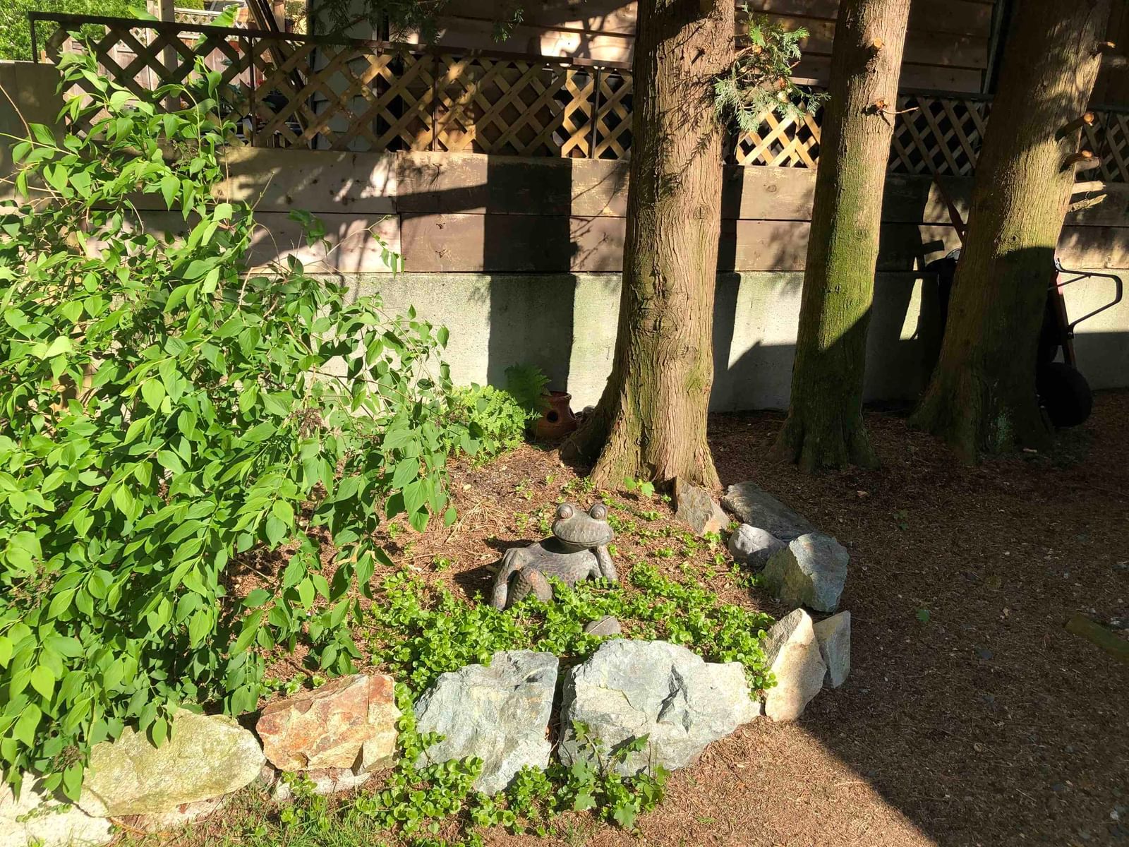 Listing Image 23