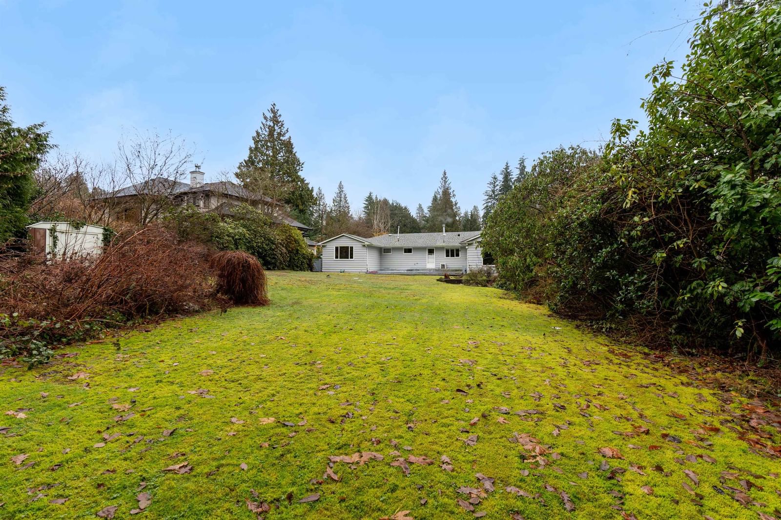 Listing Image 33