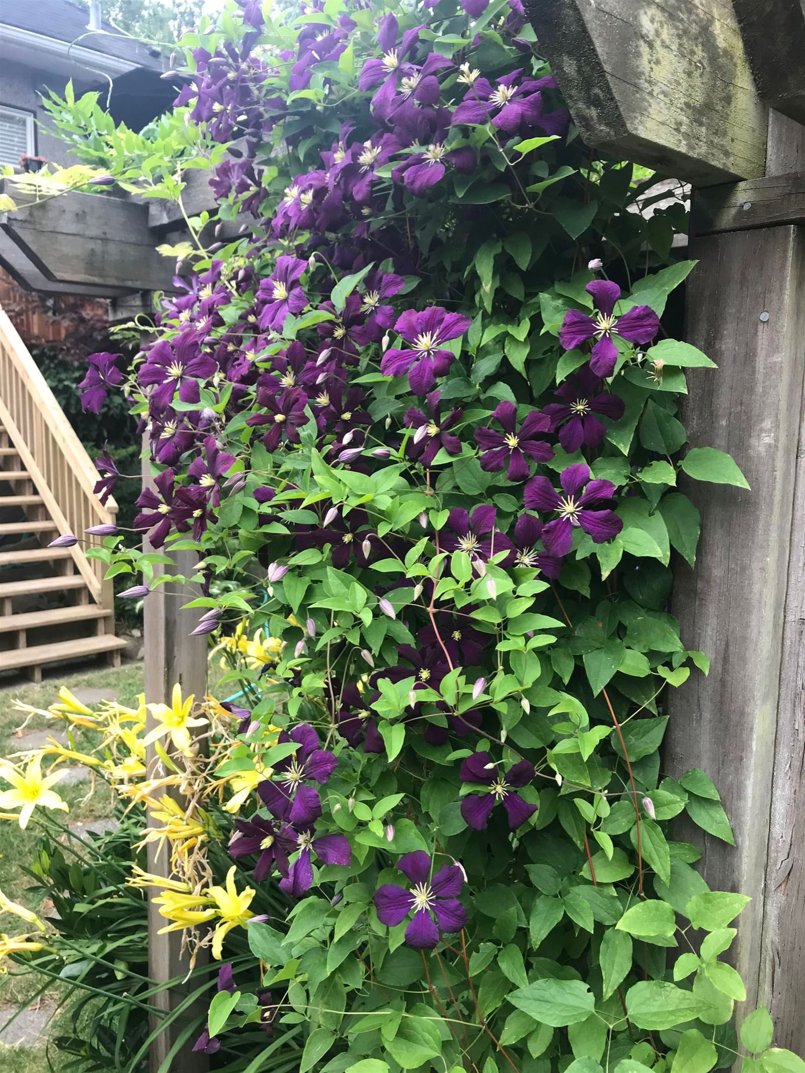 Listing Image 37