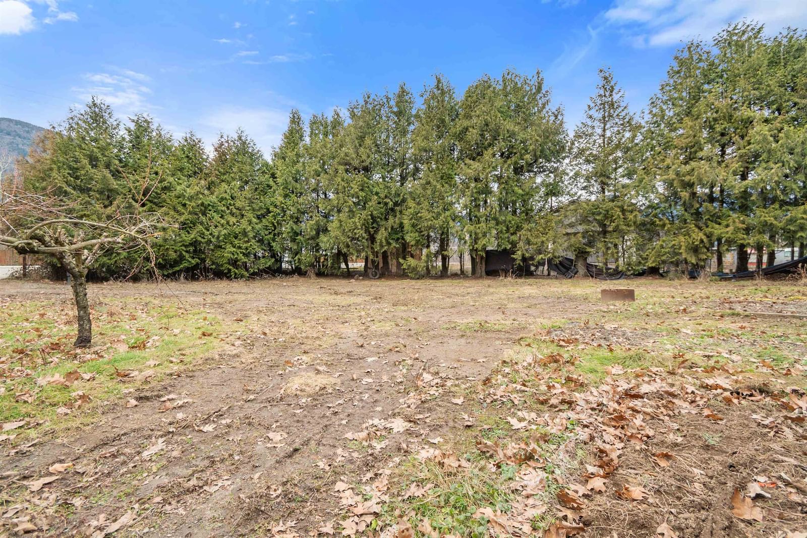 Listing Image 20