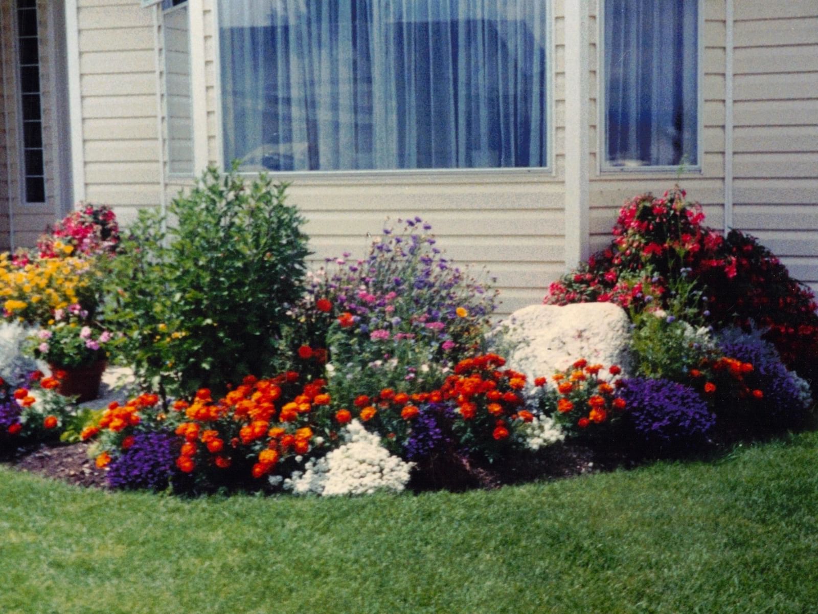 Listing Image 23