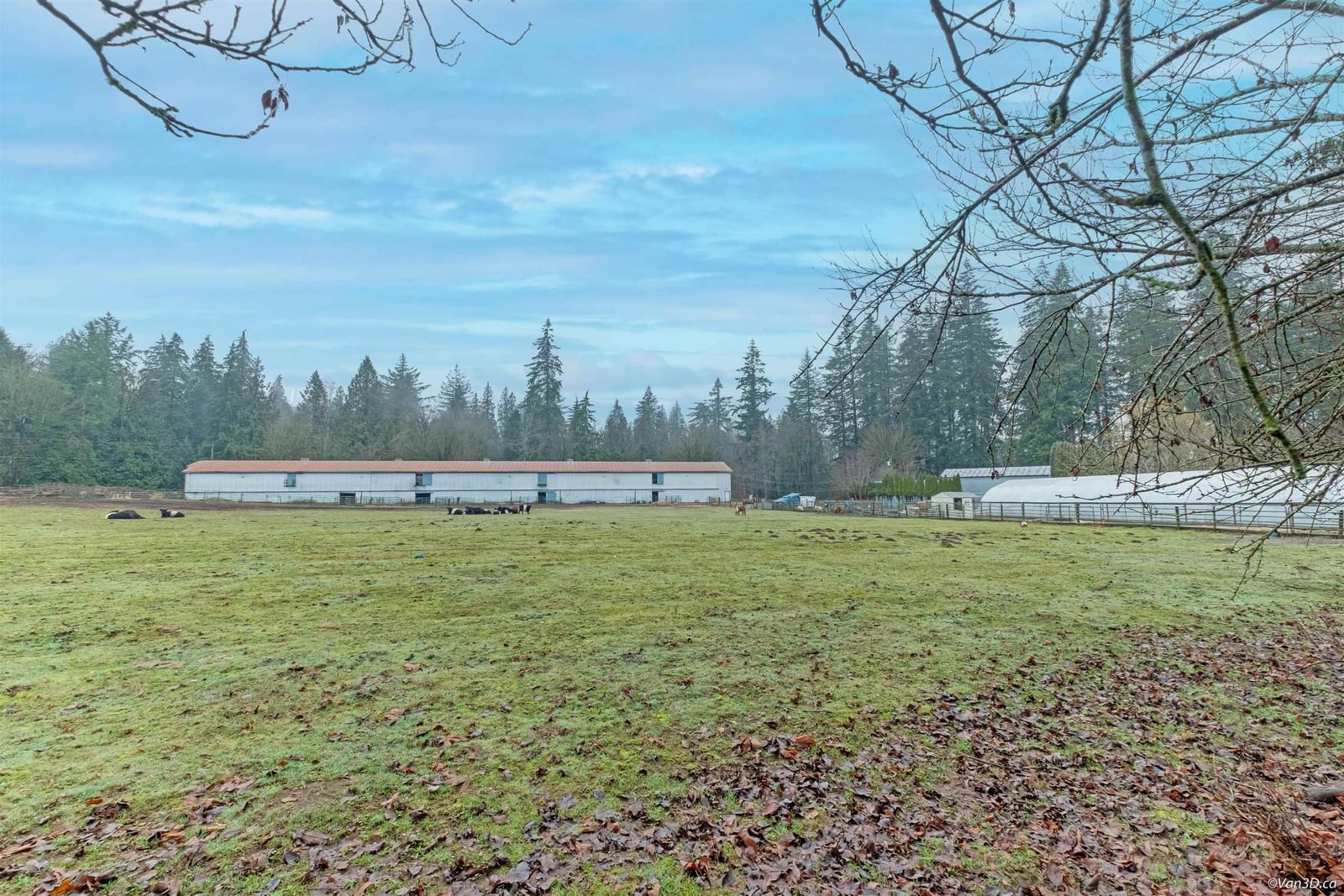 Listing Image 12