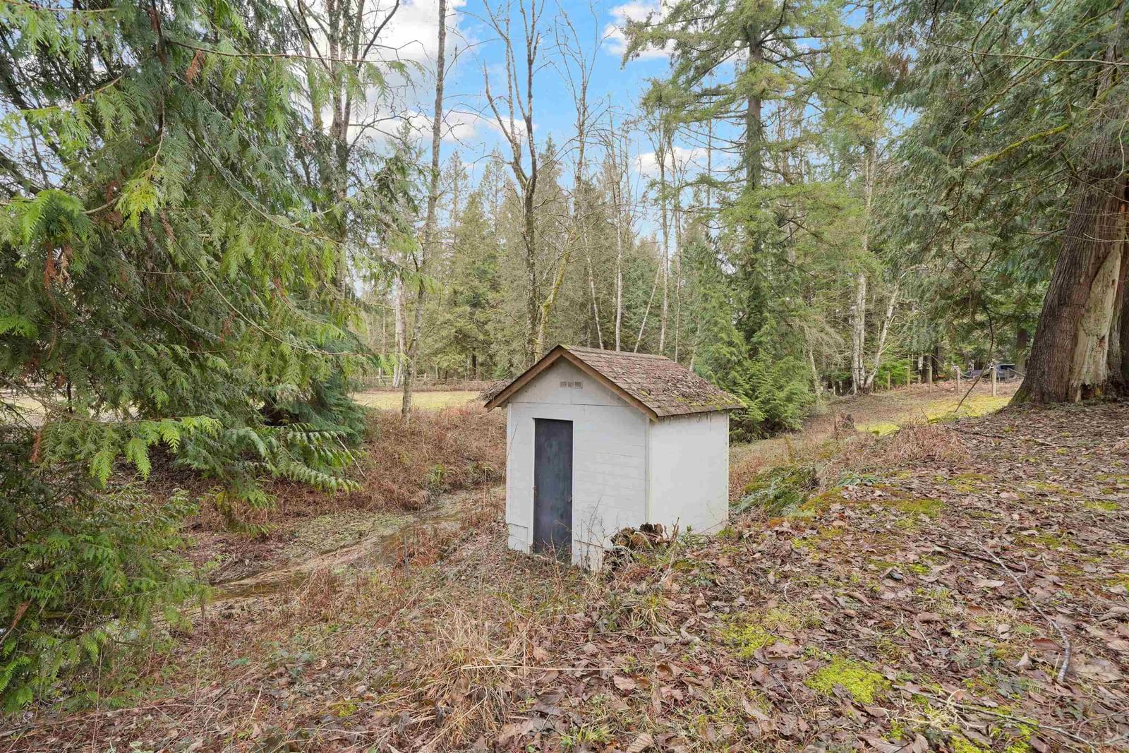 Listing Image 31