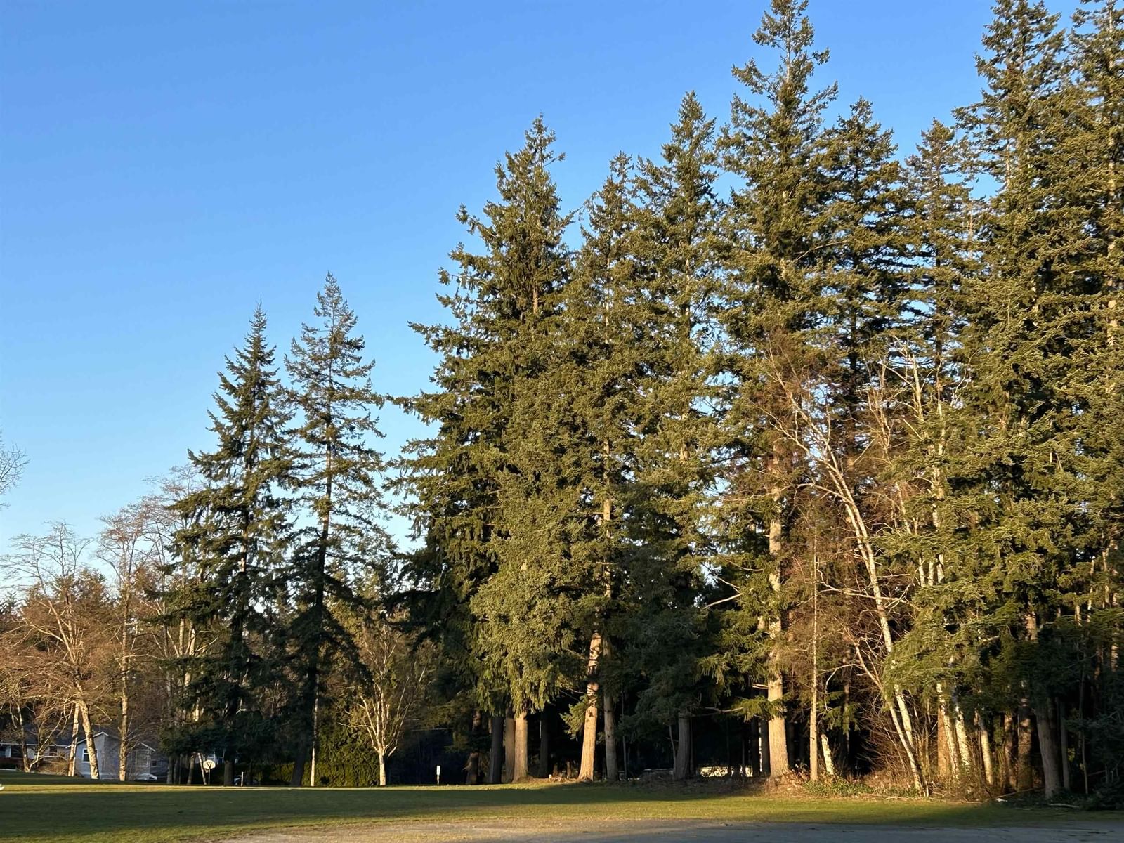 Listing Image 34
