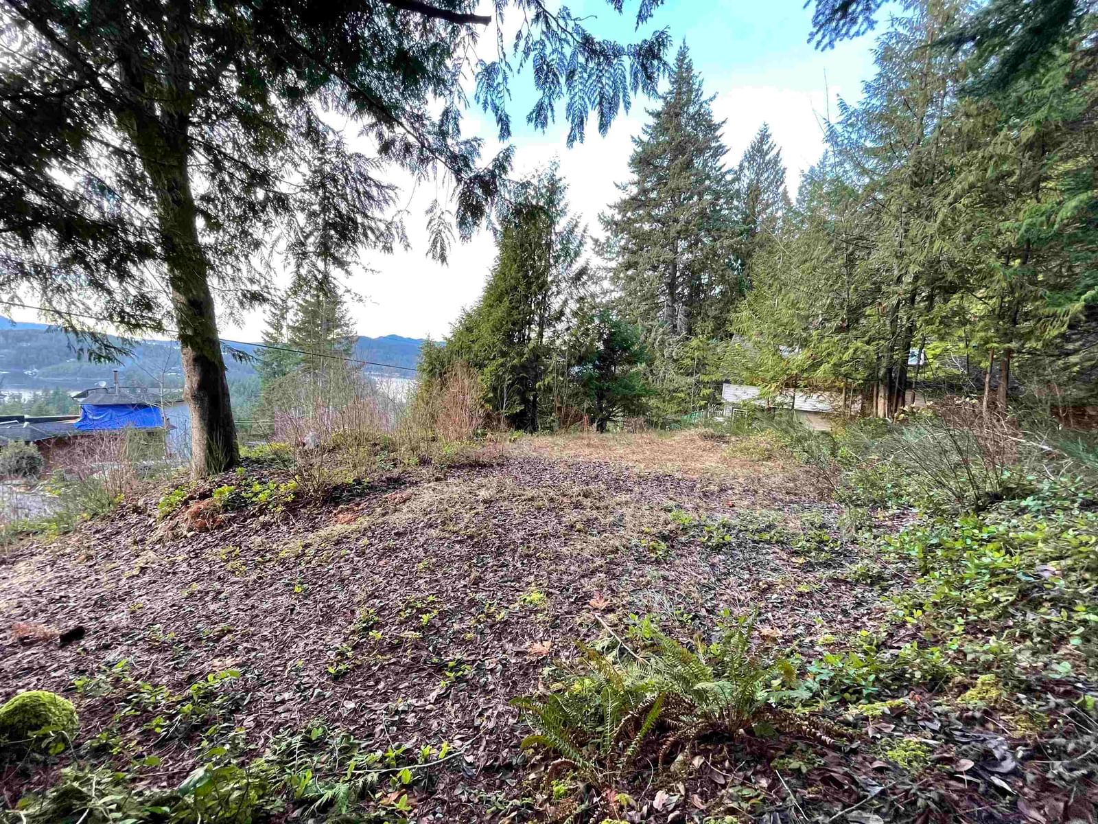 Listing Image 16