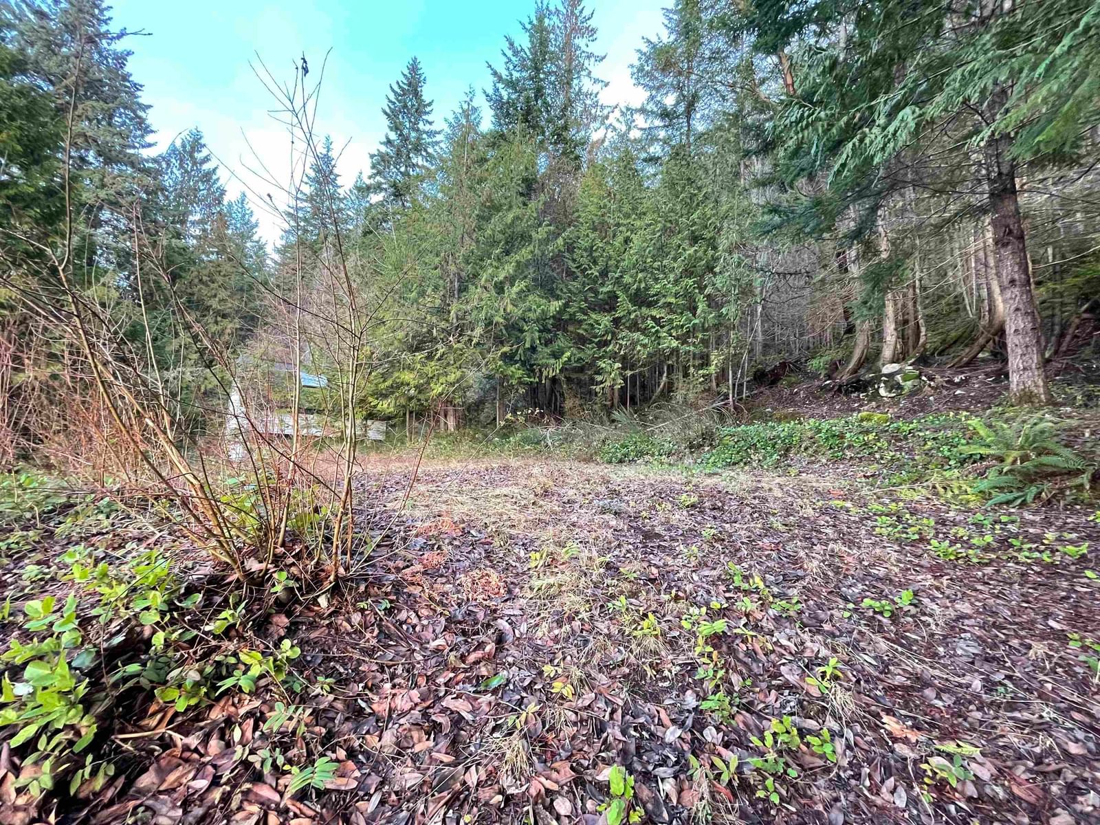 Listing Image 17