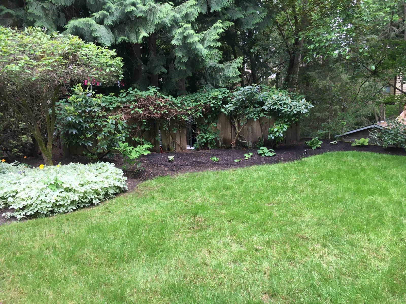 Listing Image 38