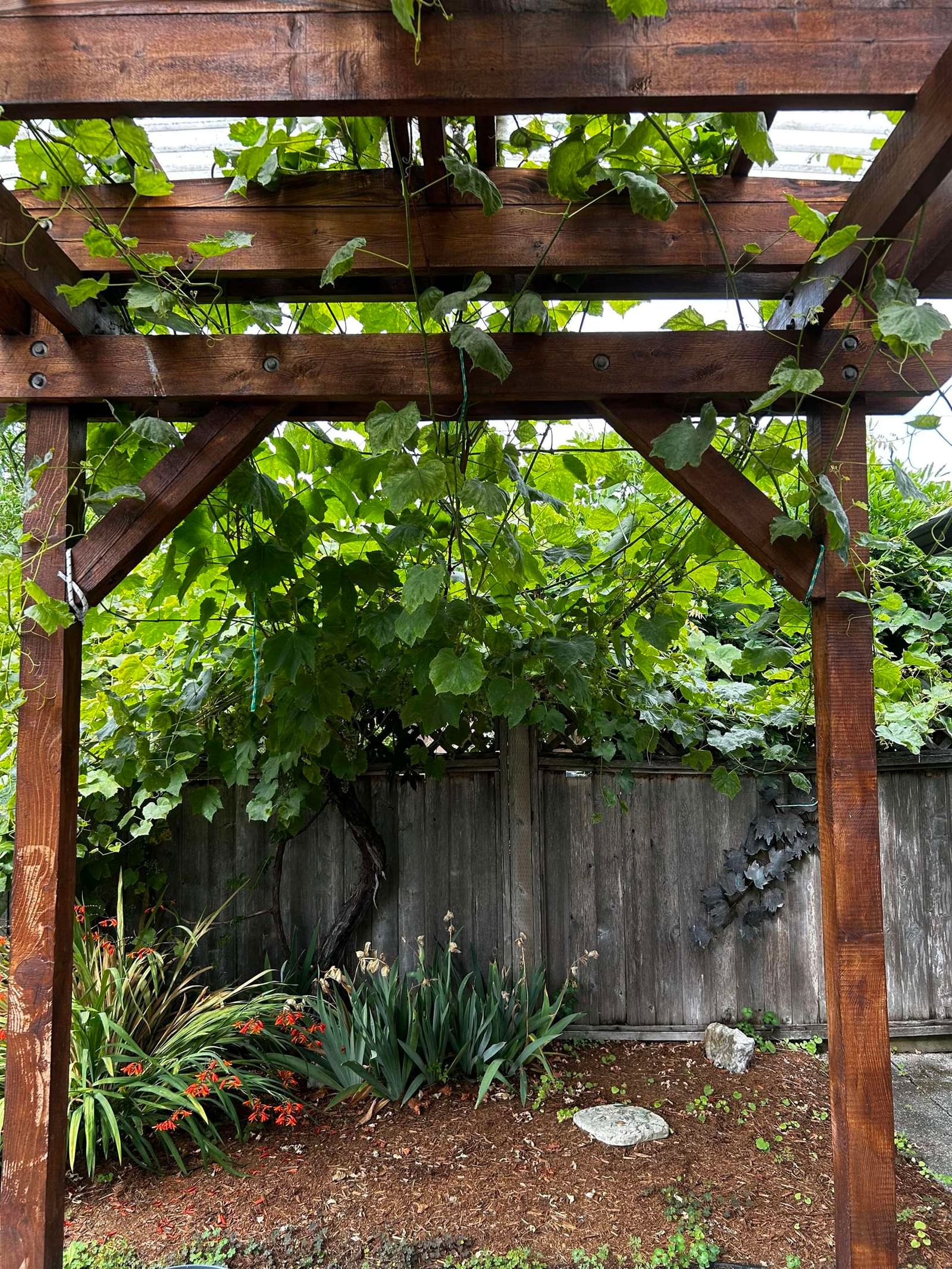 Listing Image 22