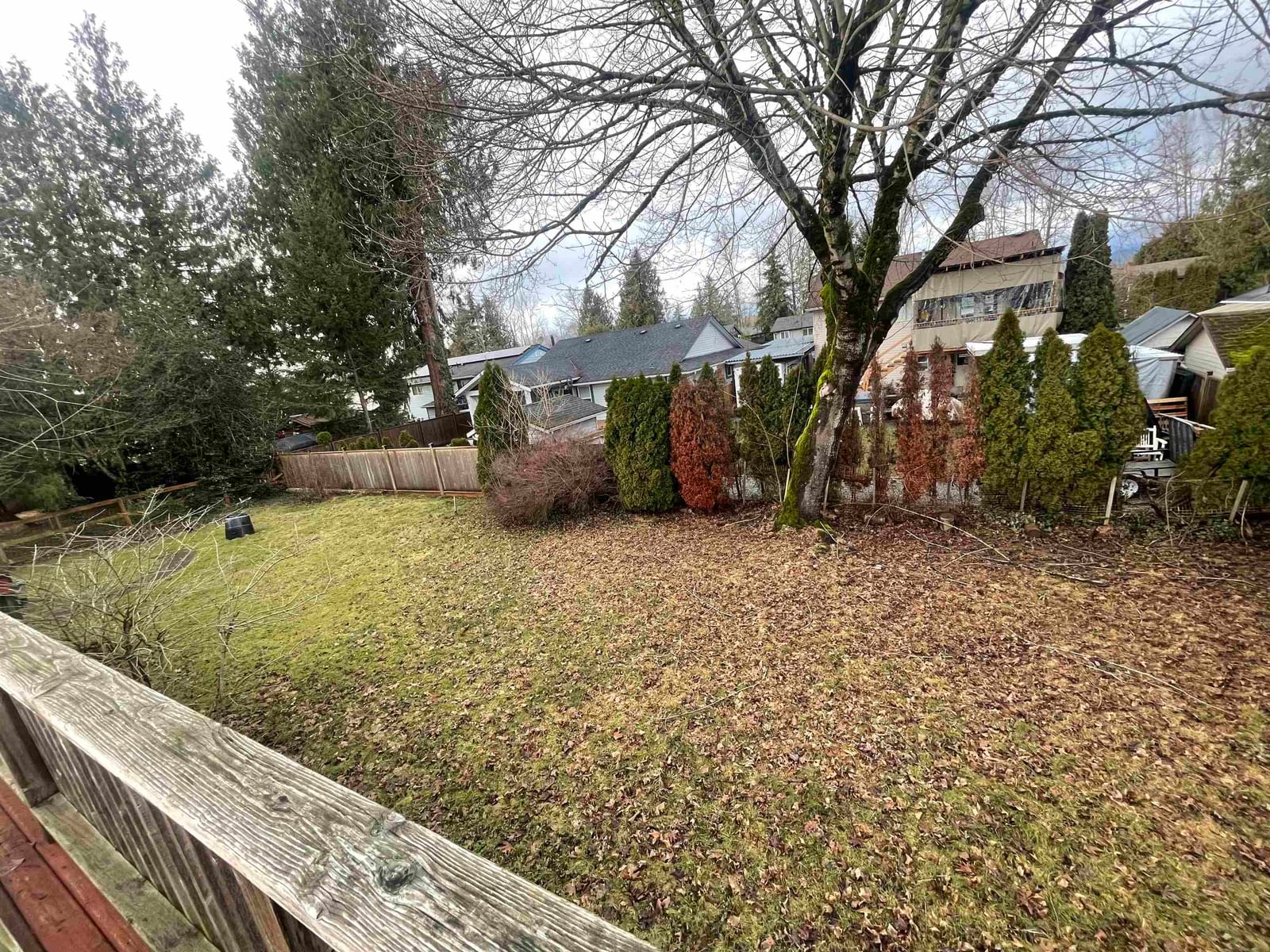Listing Image 5