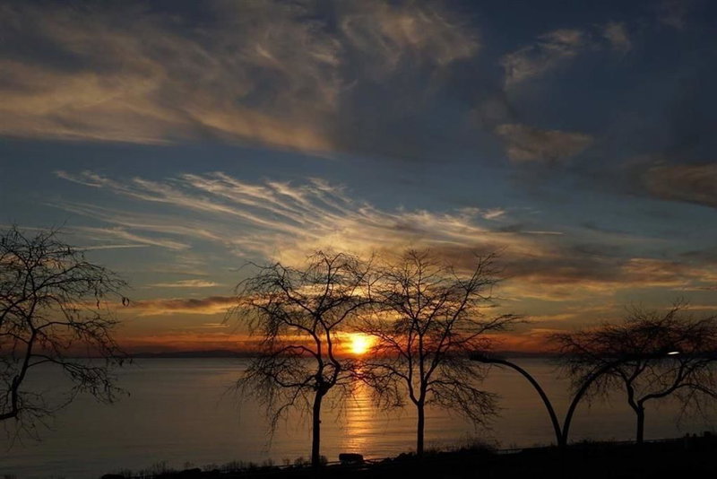 301 - 1150 Oxford Street, White Rock, V4B 0B3 | Image 2