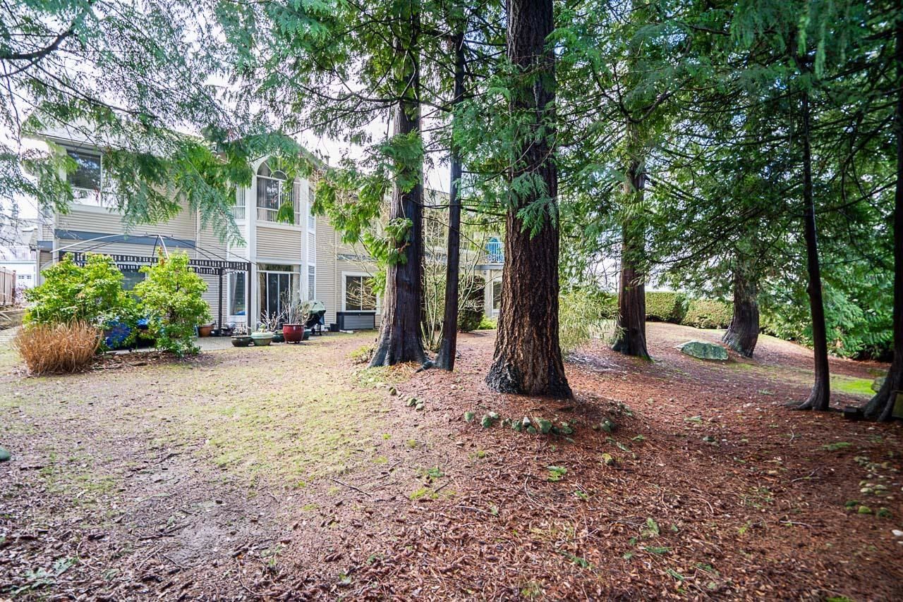 Listing Image 37