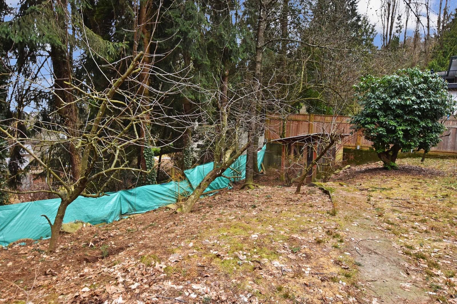 Listing Image 30