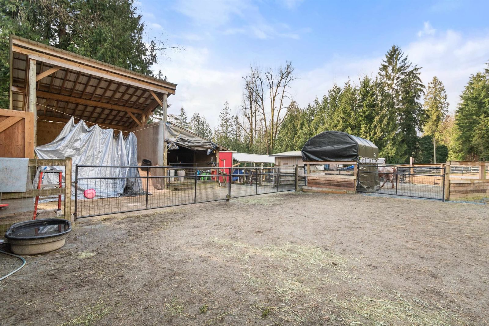Listing Image 23
