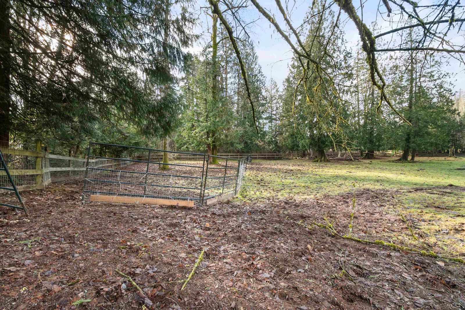 Listing Image 25