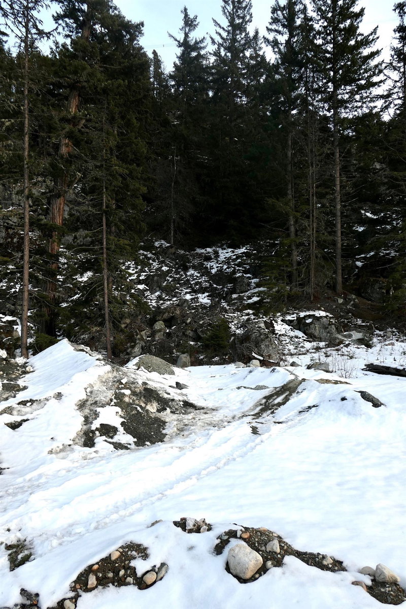 9112 Corduroy Run Court, Whistler, V8E 1M1 | Image 2