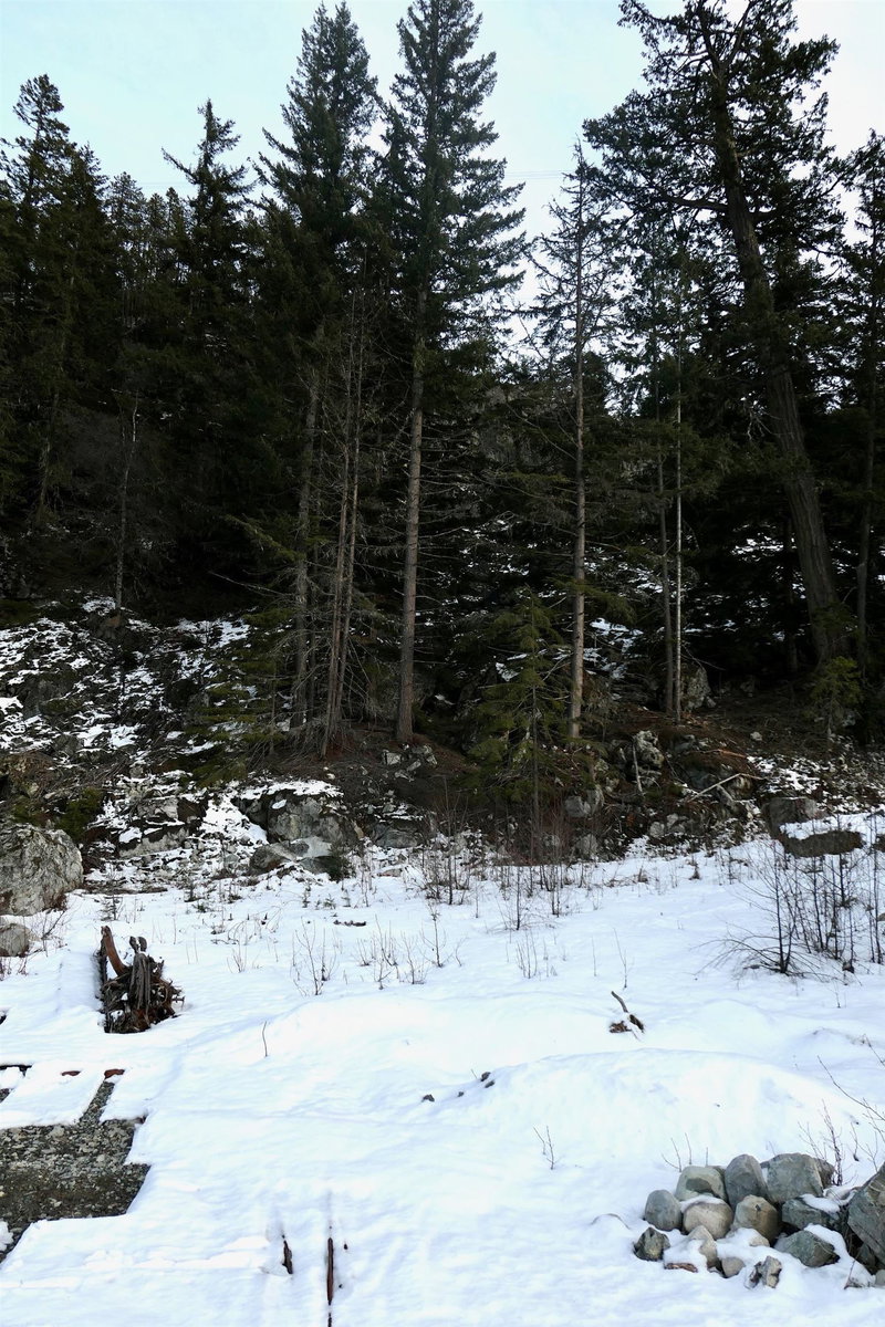 9112 Corduroy Run Court, Whistler, V8E 1M1 | Image 3