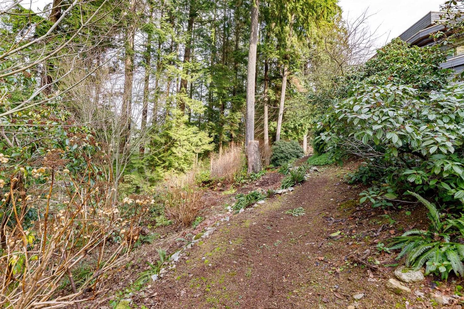 Listing Image 38