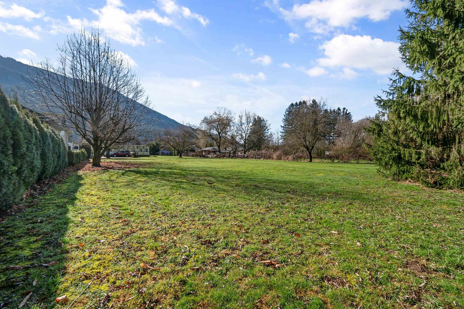 Listing Image 35