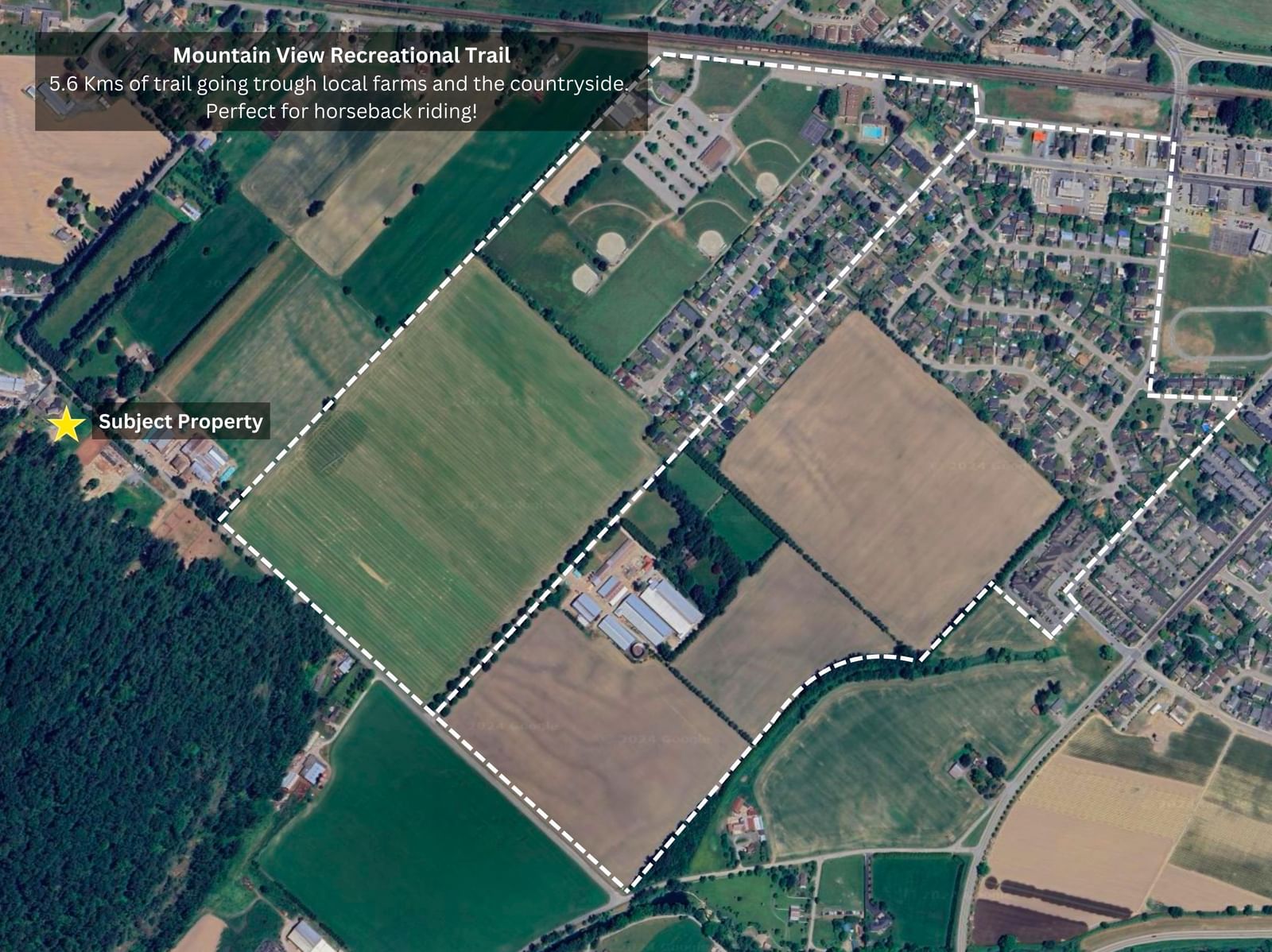 Listing Image 6