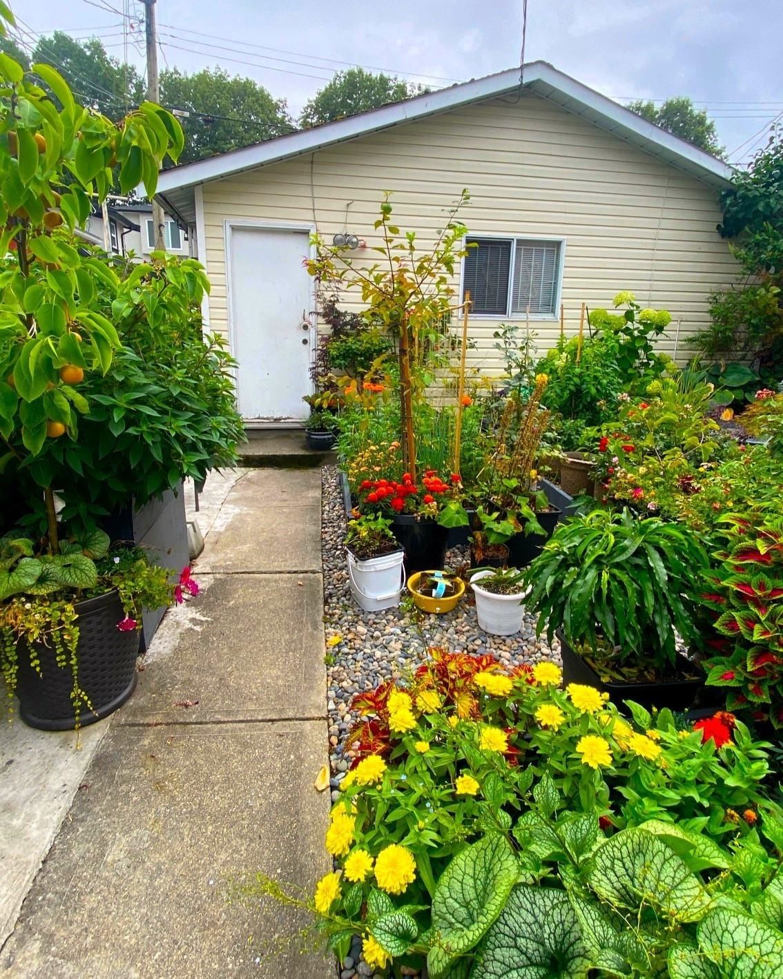 Listing Image 15