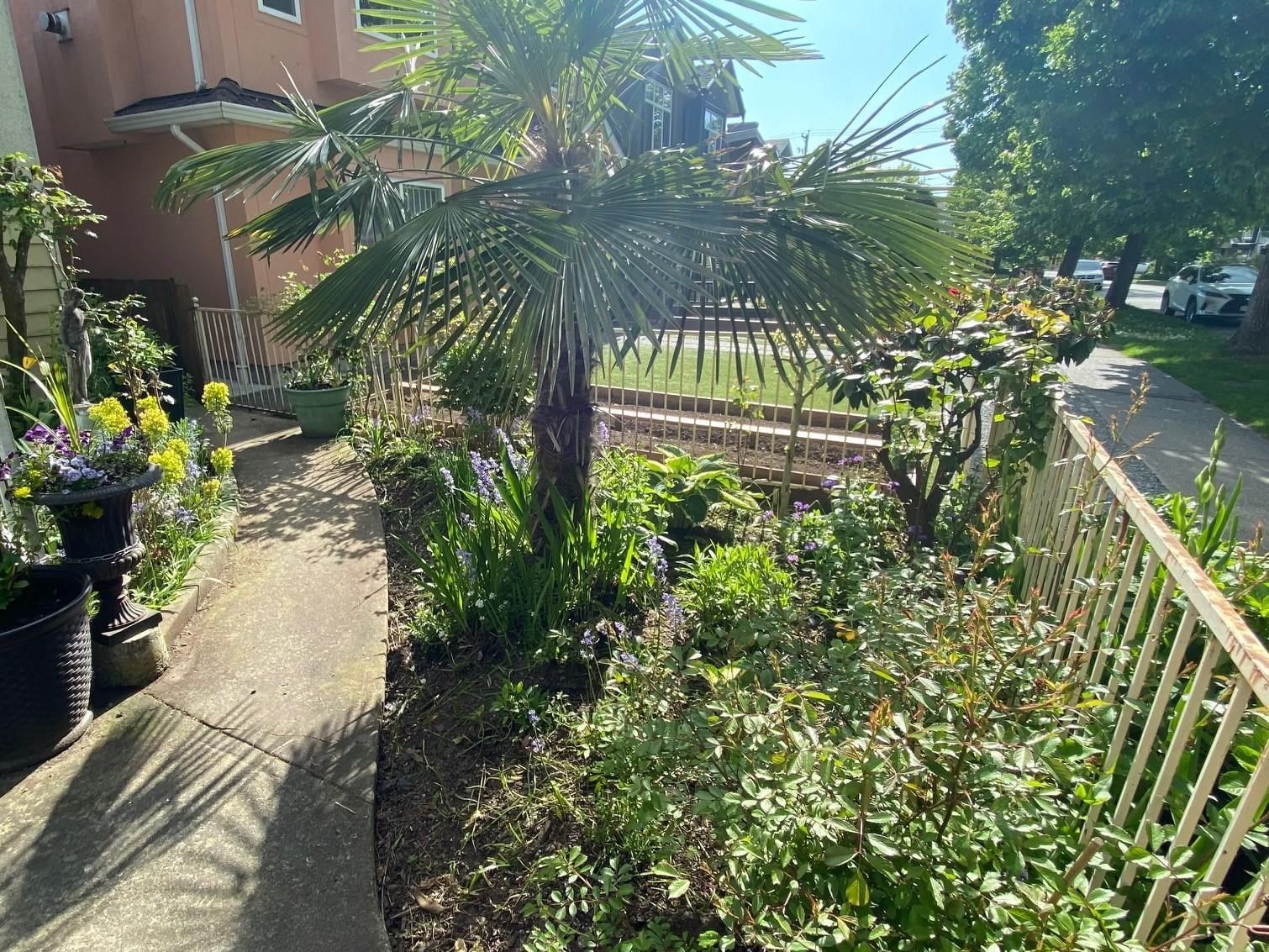 Listing Image 23