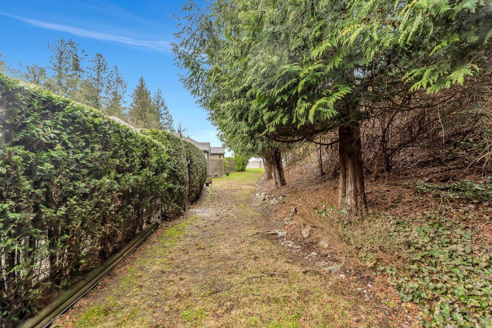 Listing Image 37