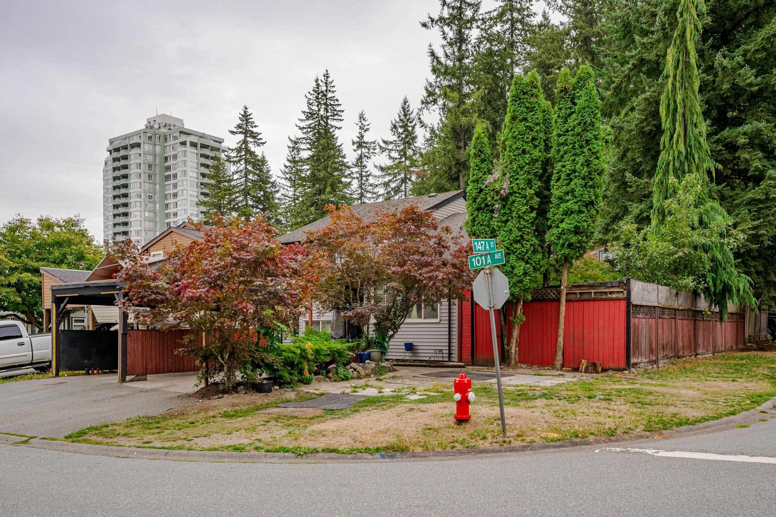 Listing Image 20