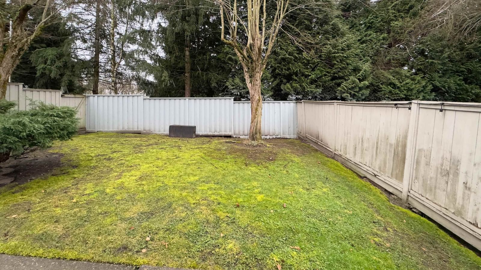 Listing Image 27