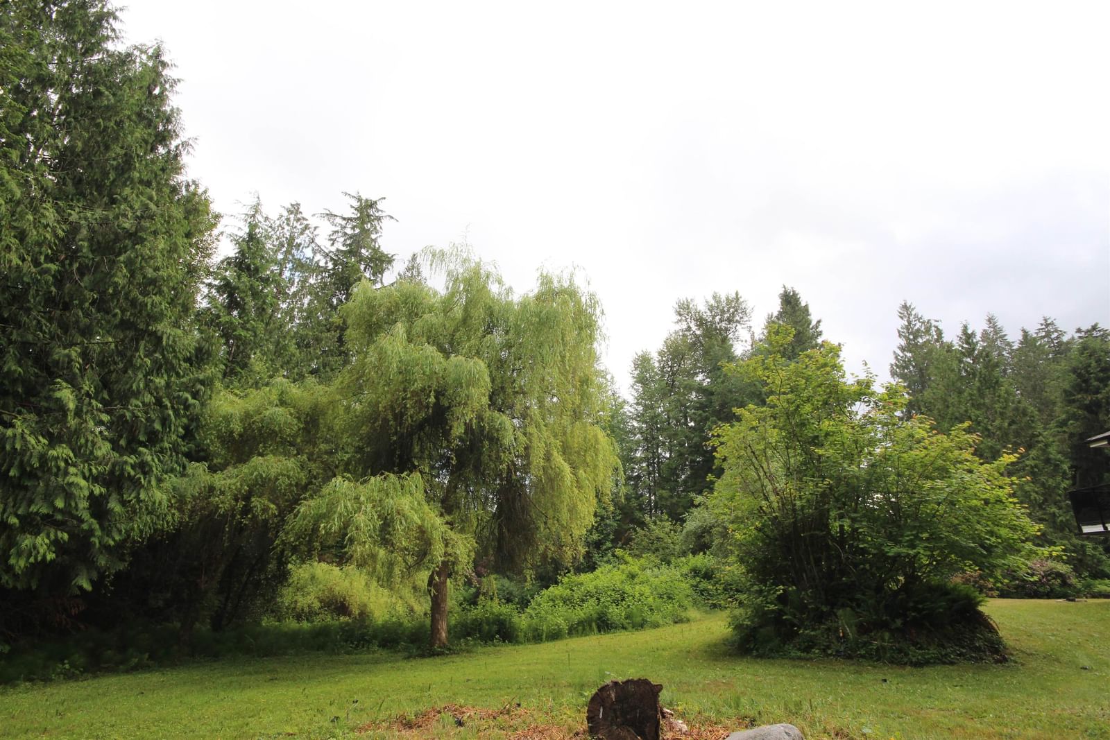 Listing Image 38