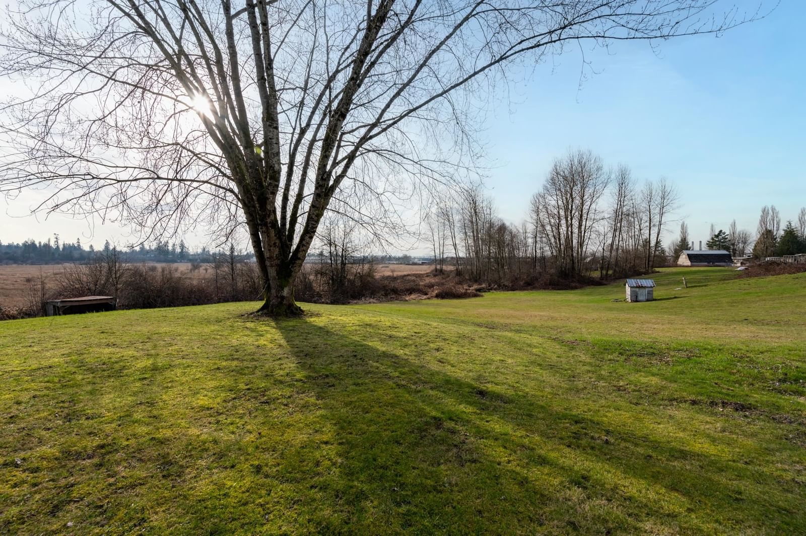 Listing Image 37
