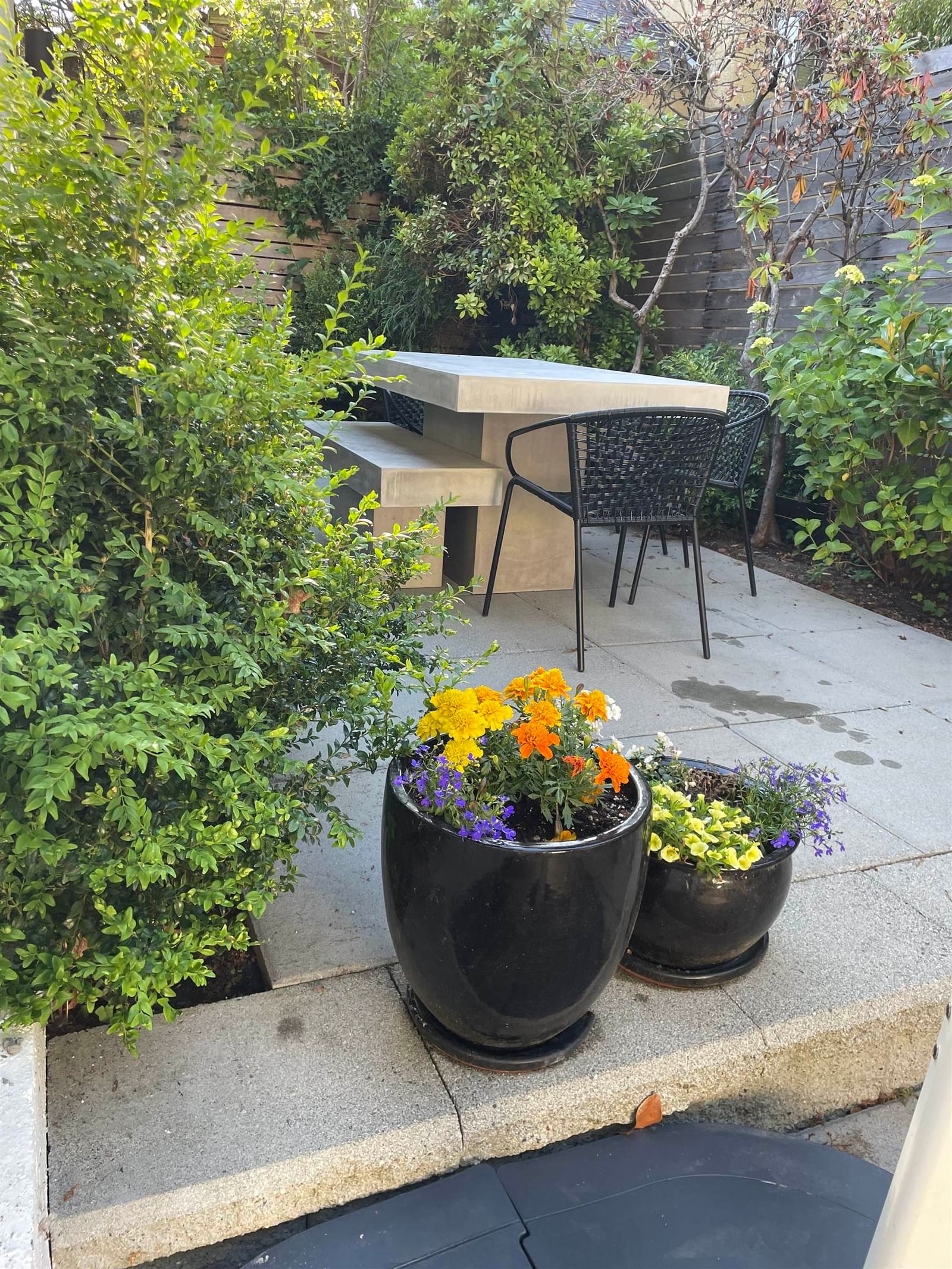 Listing Image 35